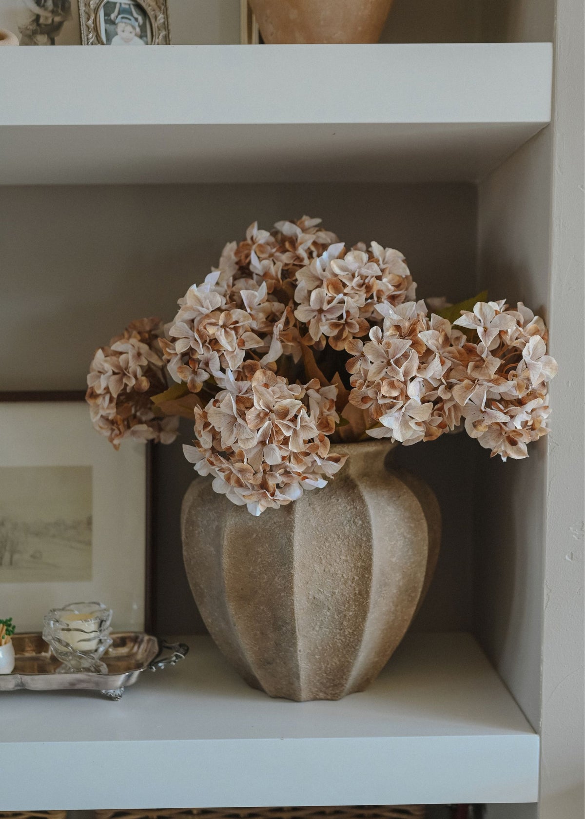 dried look hydrangea bush
