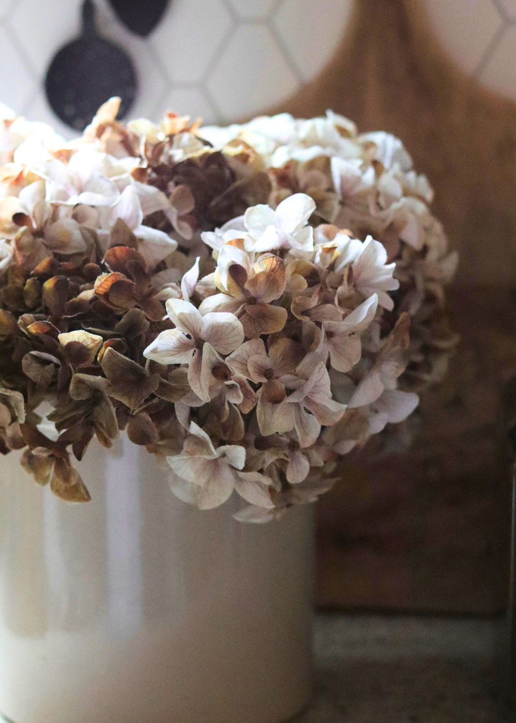 Autumn Hydrangeas