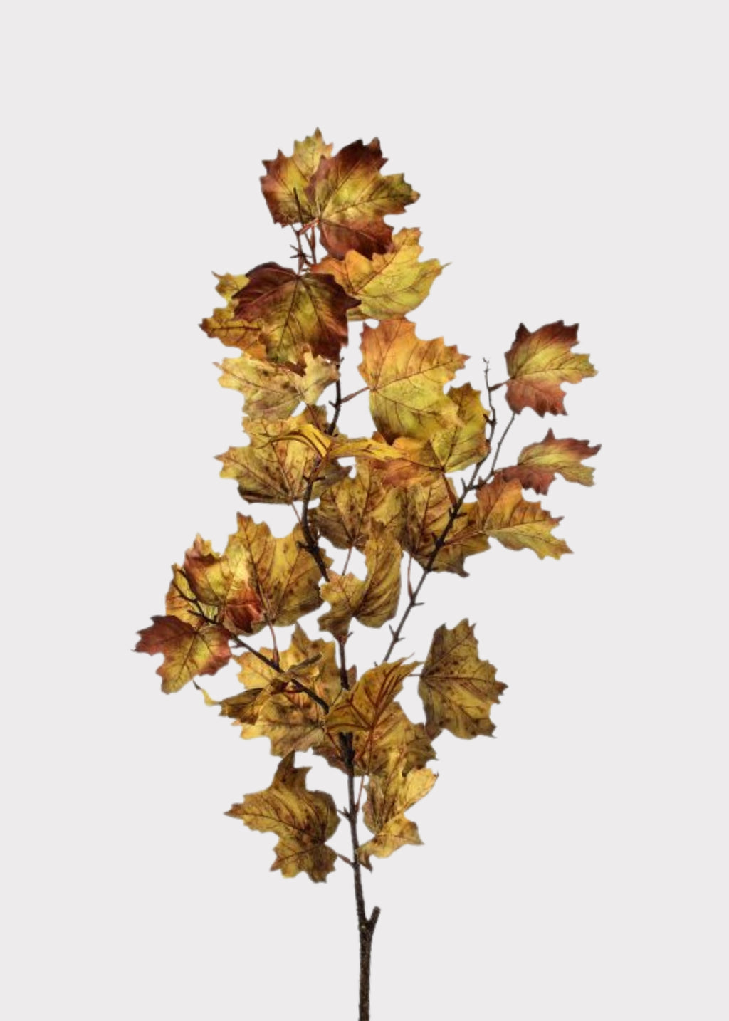 Faux Maple Leaf Branch