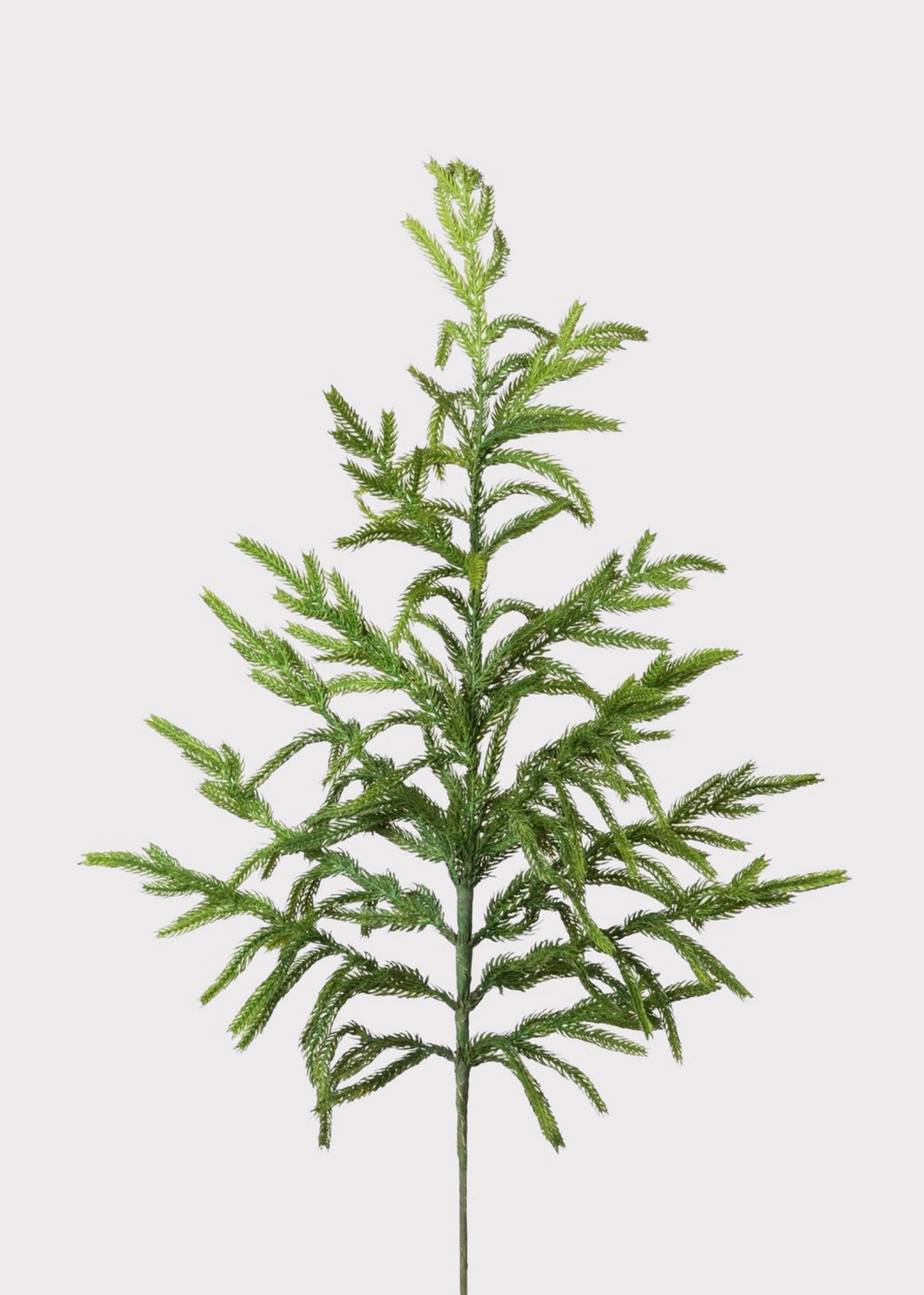 Faux Winter Greens Real Touch Norfolk Pine Branch at Afloral