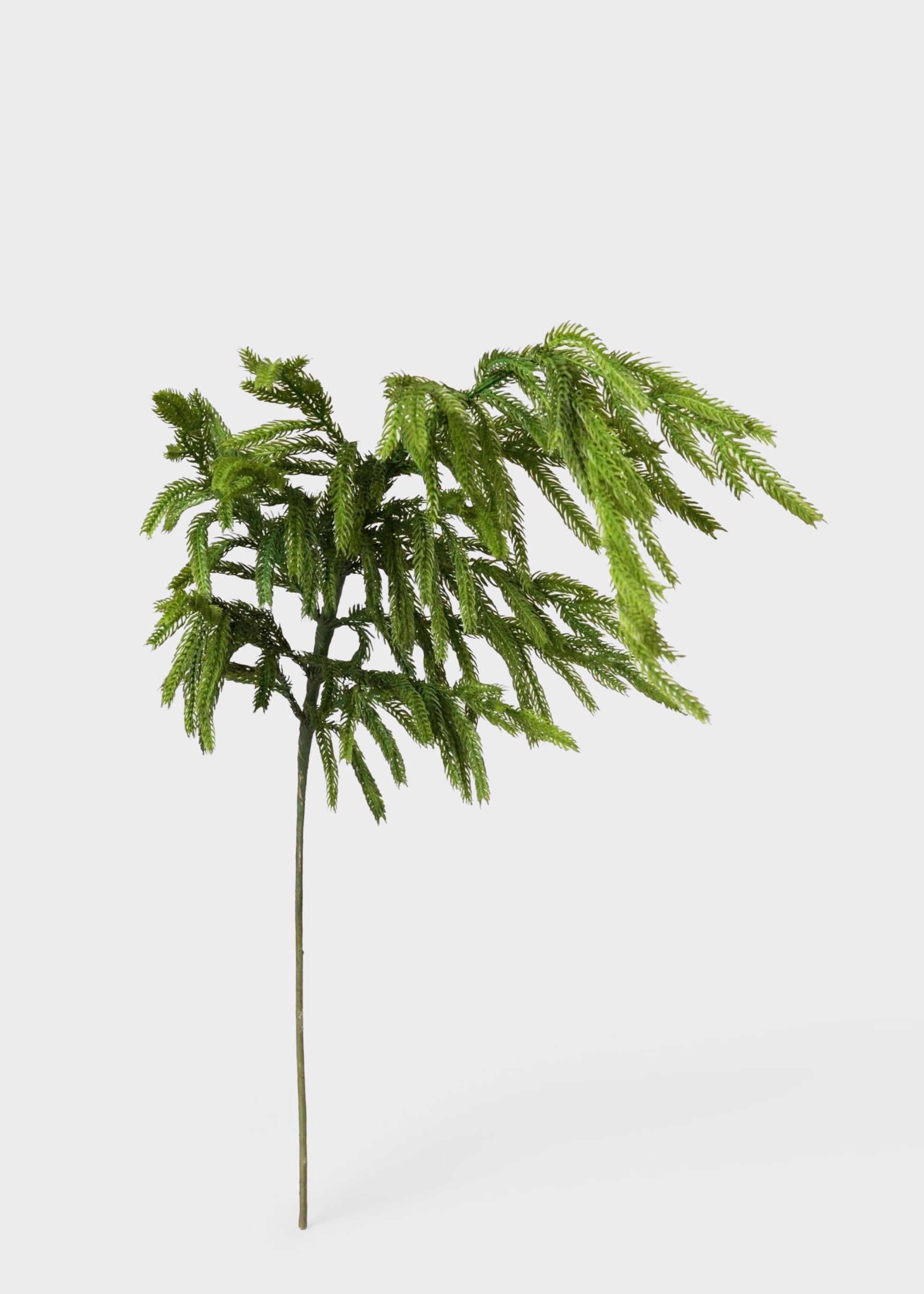 Real Touch Norfolk Pine Branch