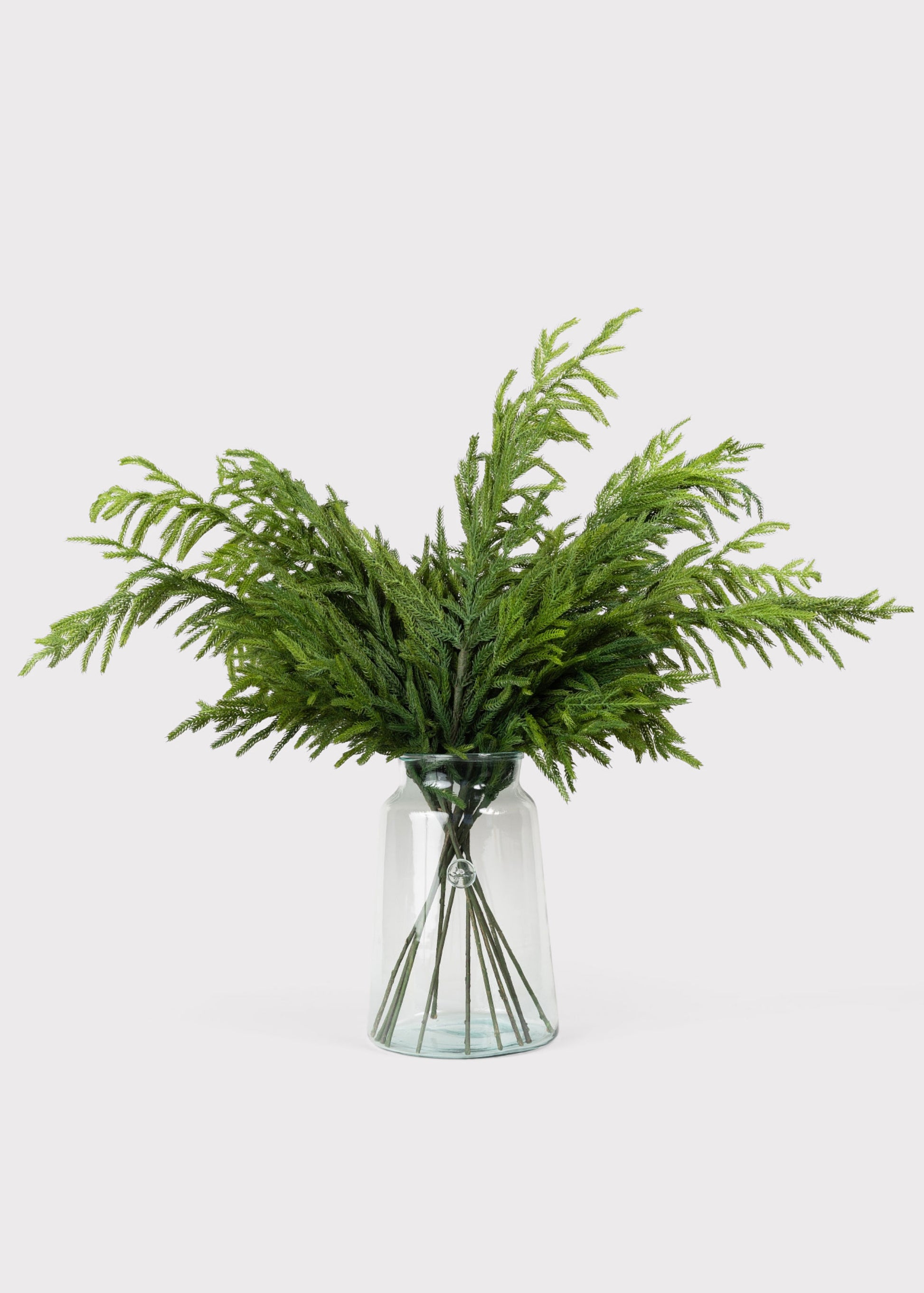 Real Touch Norfolk Pine in Clear Glass Vase