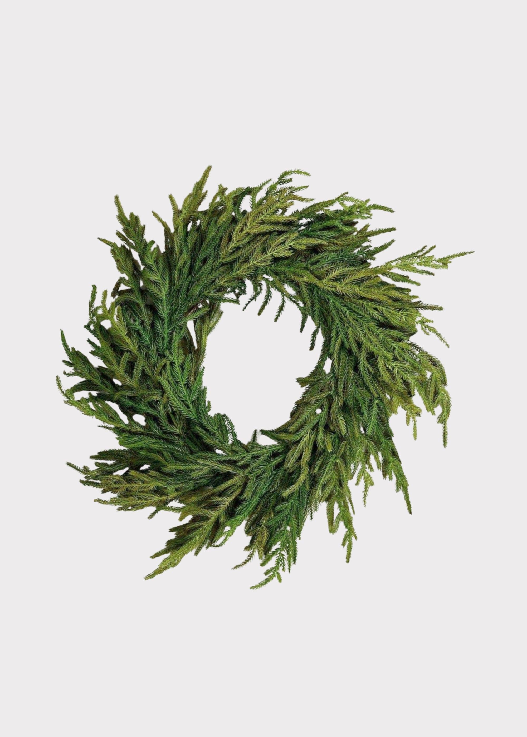 Real Touch Norfolk Pine Wreath | Afloral
