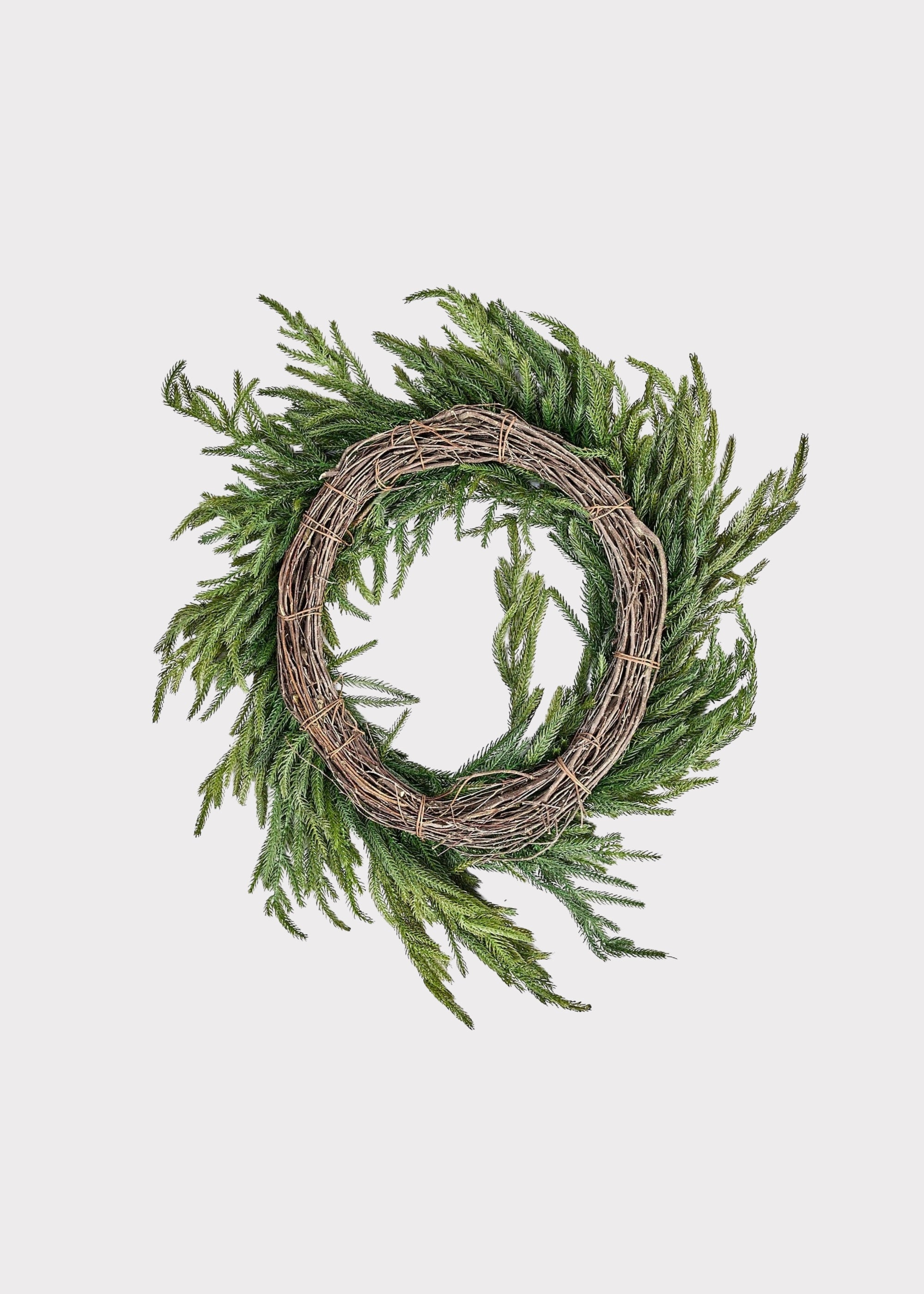 Real Touch Norfolk Pine Wreath | Afloral
