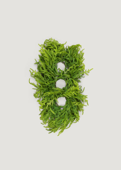 3-Pillar Real Touch Norfolk Pine Centerpiece