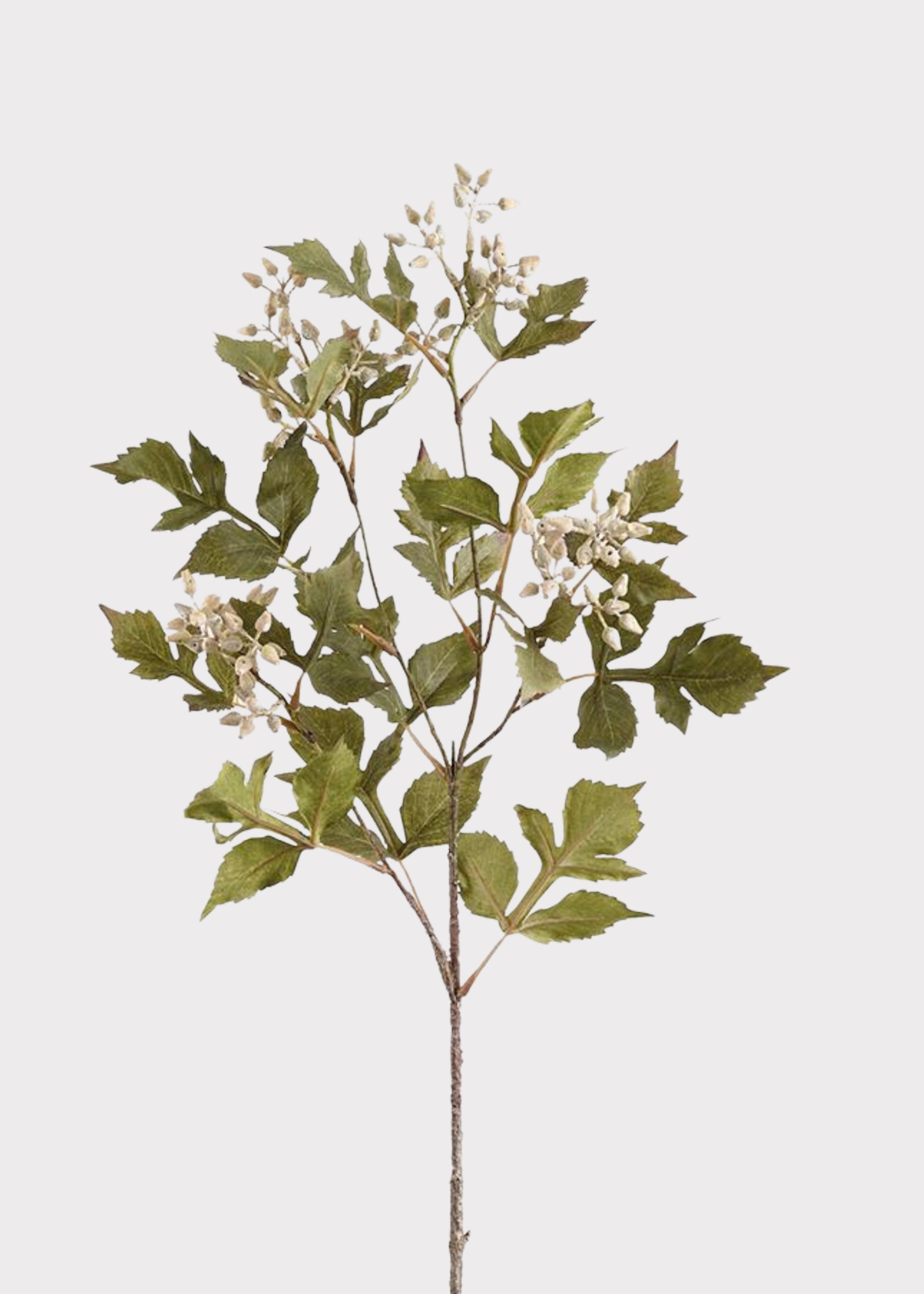 Fake Seeded Ash Leaf Branch in Cream Green