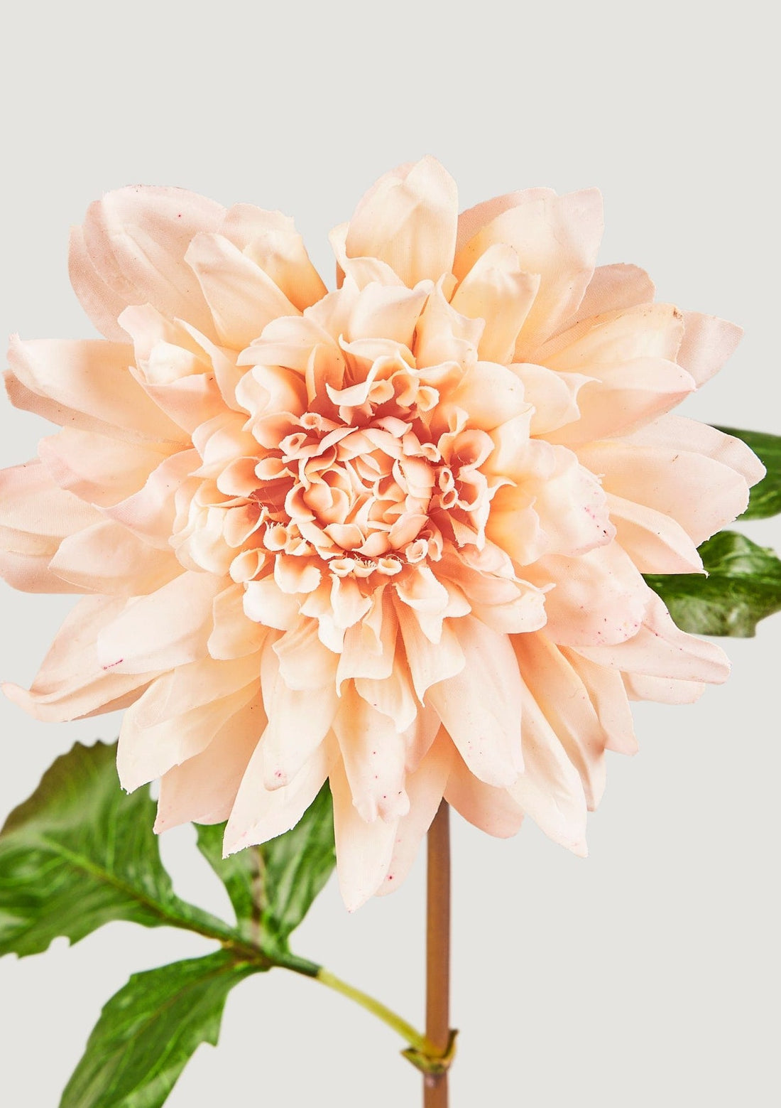 Real Touch Flowers at Afloral Faux Dahlia in Blush