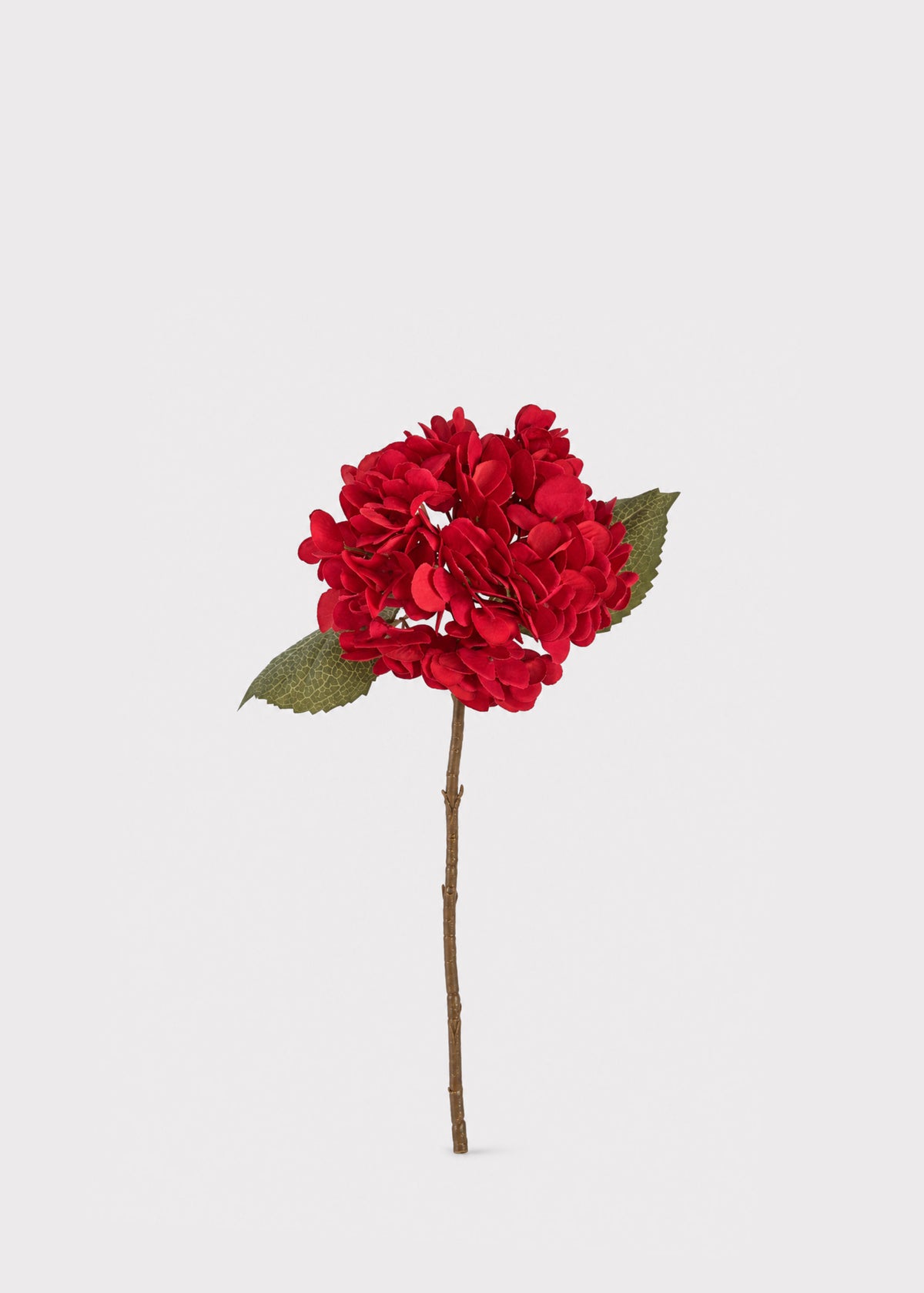 Red Velvet Hydrangea 