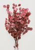 Red Preserved Populus Eucalyptus Bunch