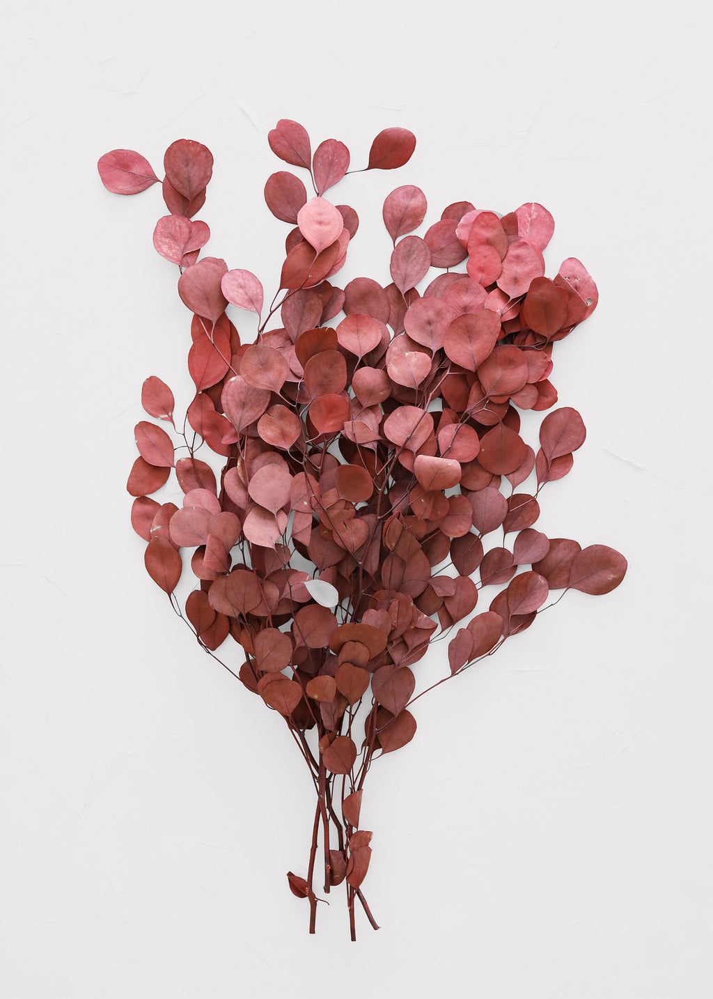 Red Preserved Populus Eucalyptus Bunch