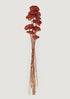 Burnt Orange Dried Yarrow Flowers at Afloral