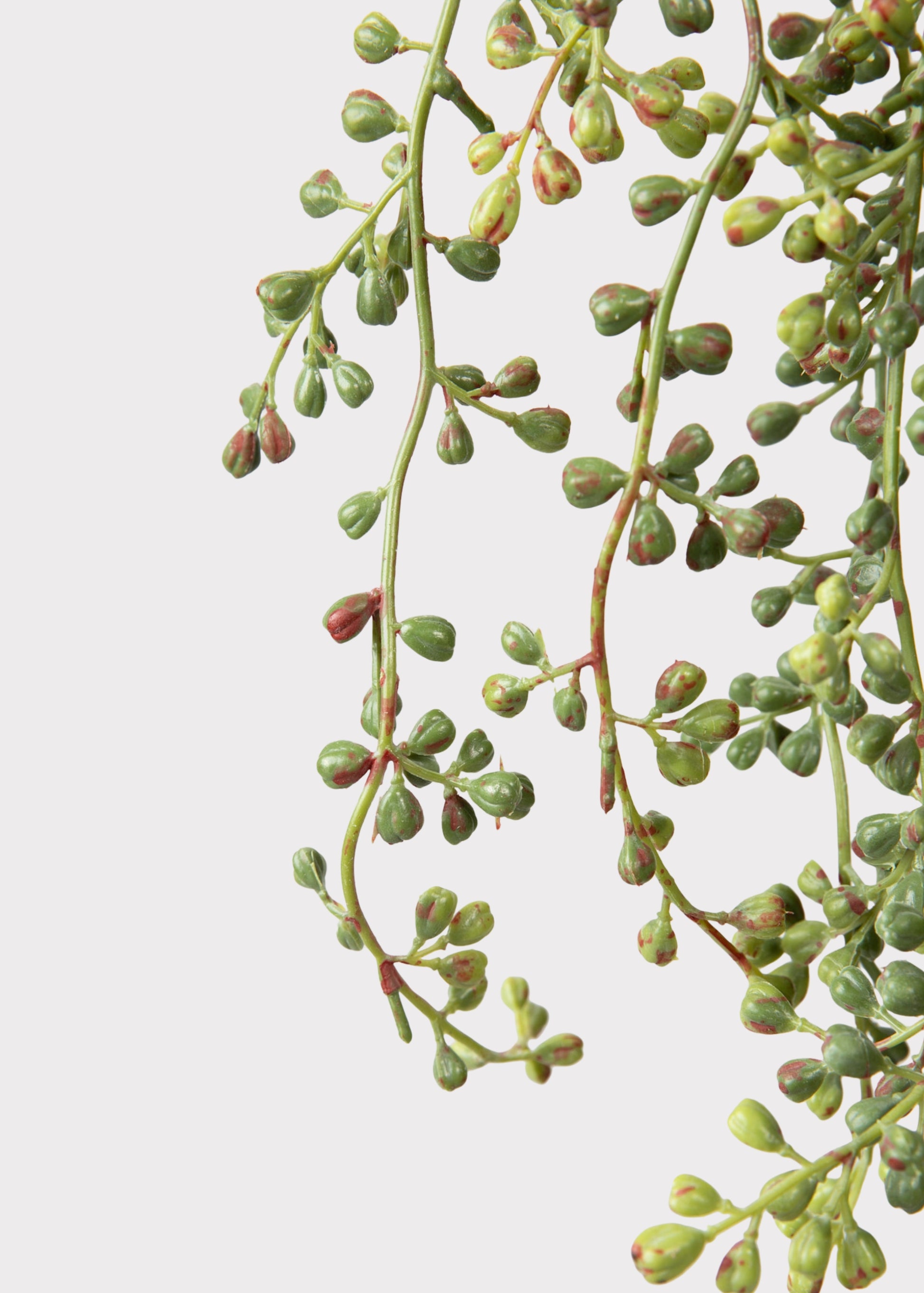 Fake Hanging String of Pearls 
