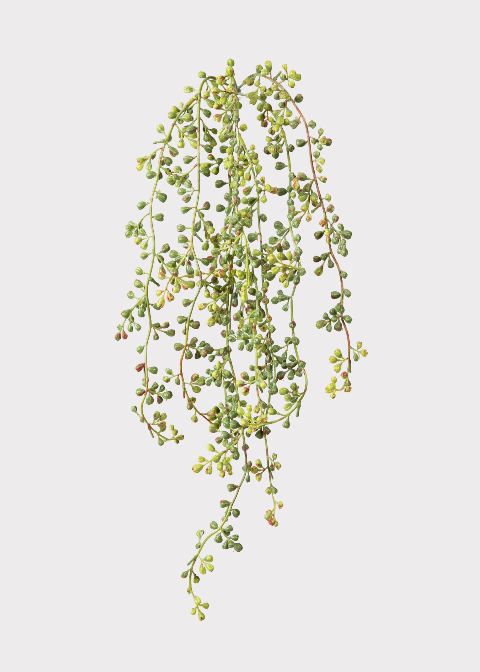 Faux Hanging String of Pearls Succulent Bush