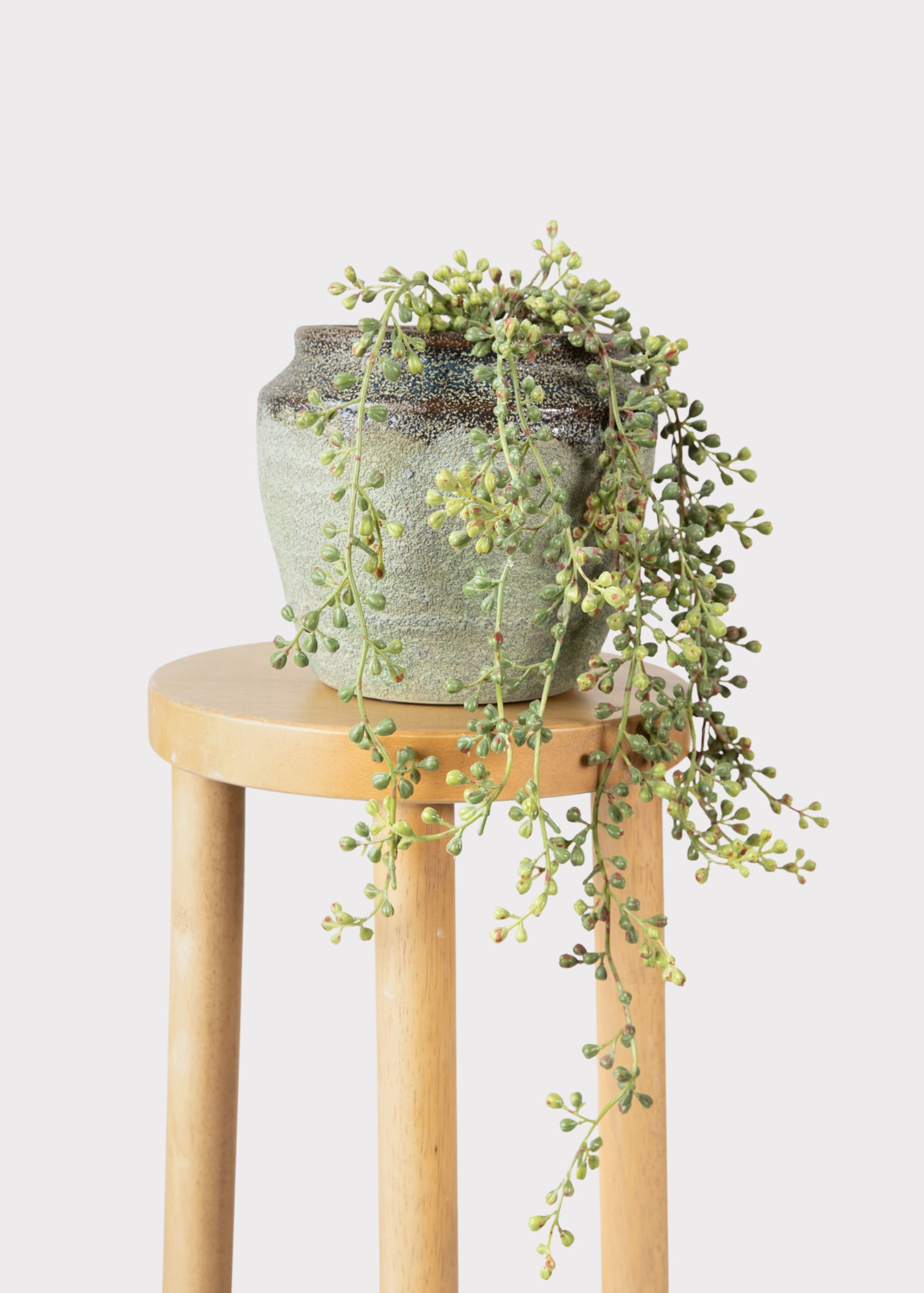 Faux Hanging String of Pearls Succulent Bush in Planter Pot