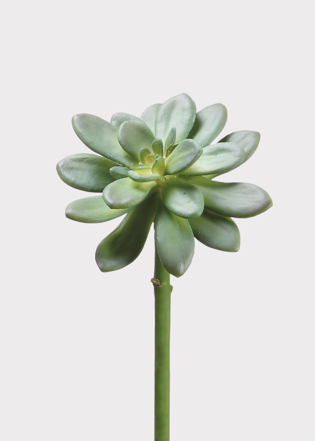 Fake  Echeveria Succulent Pick