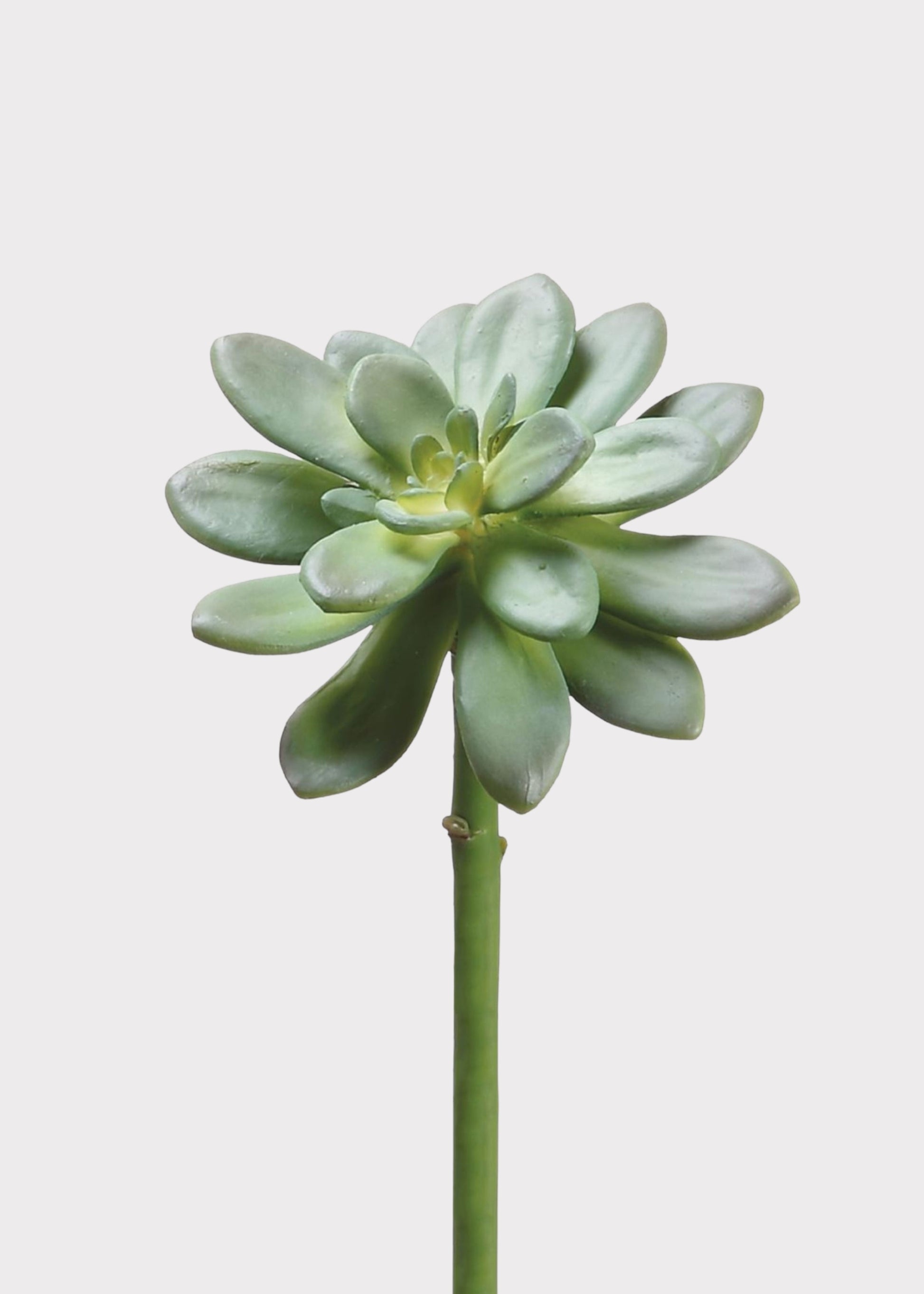 Fake  Echeveria Succulent Pick