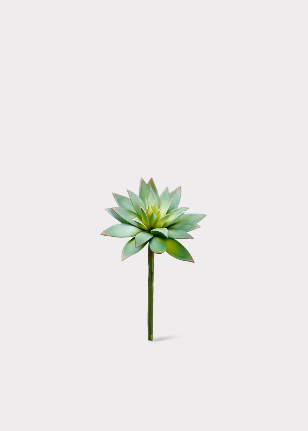 Fake Echeveria Succulent Pick