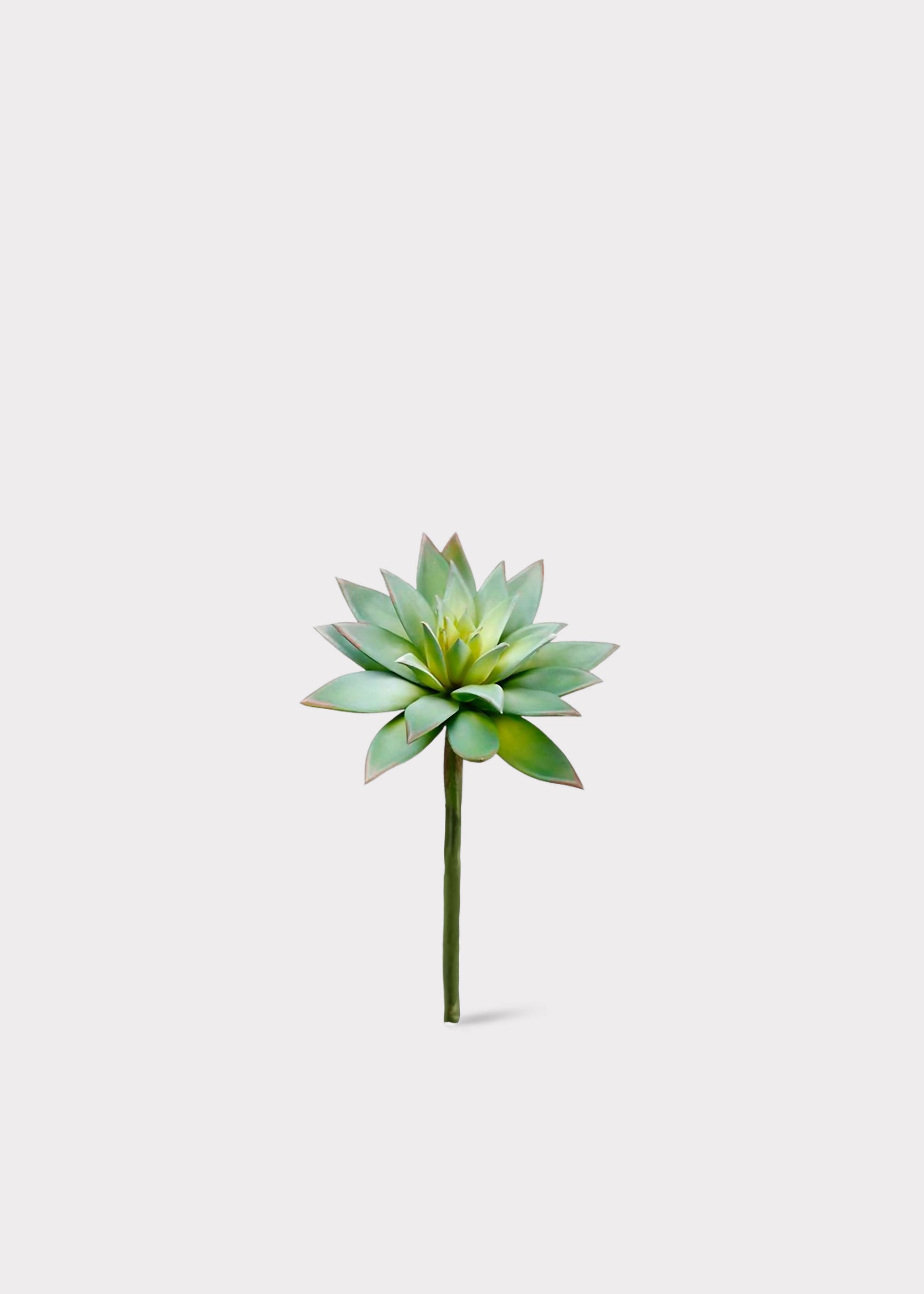 Fake Echeveria Succulent Pick