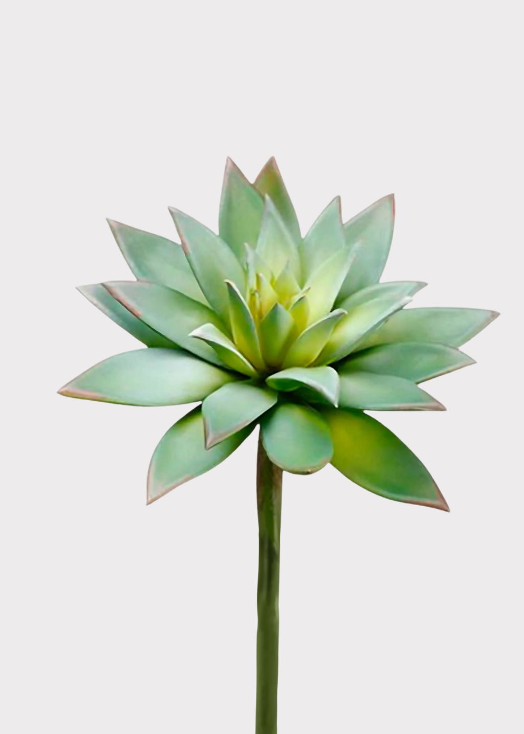 Artificial Echeveria Succulent Pick