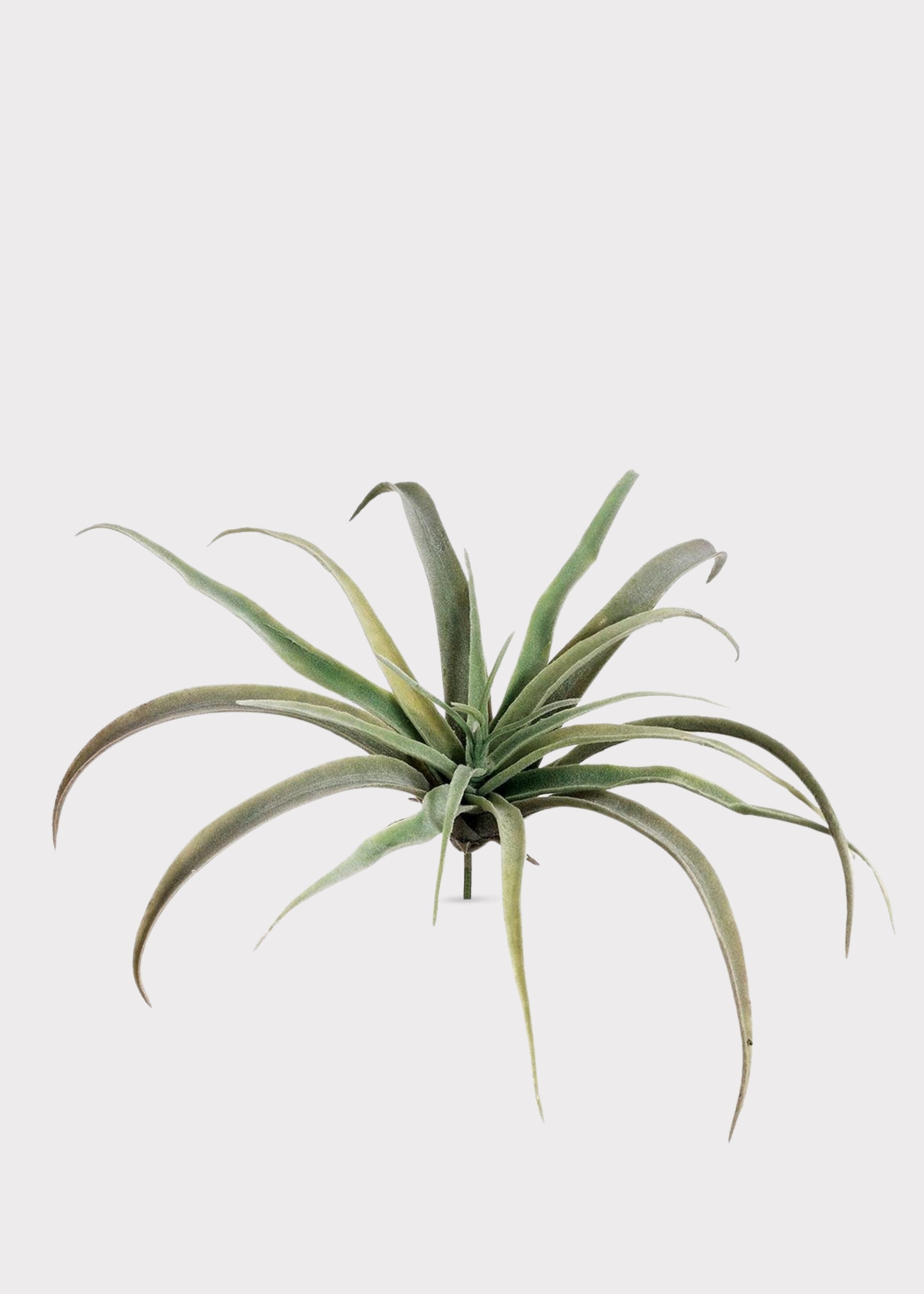 Large Fake Tillandsia Succulent Air Plant