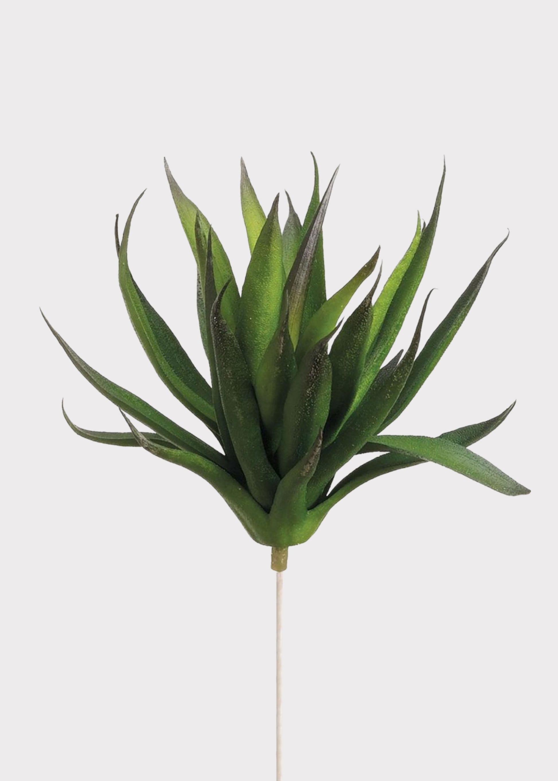 Fake Agave Succulent Plant