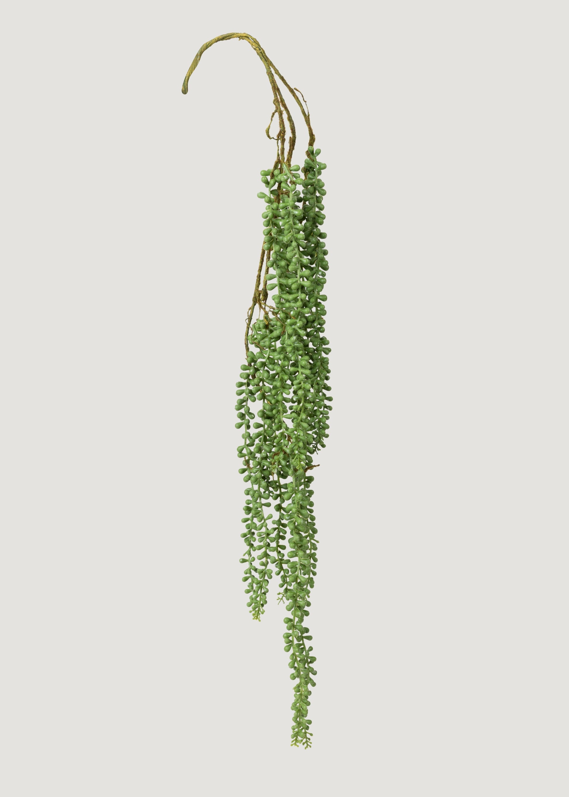 pearls hanging succulent plant Artificial Hanging String of Pearls Succulent Plant