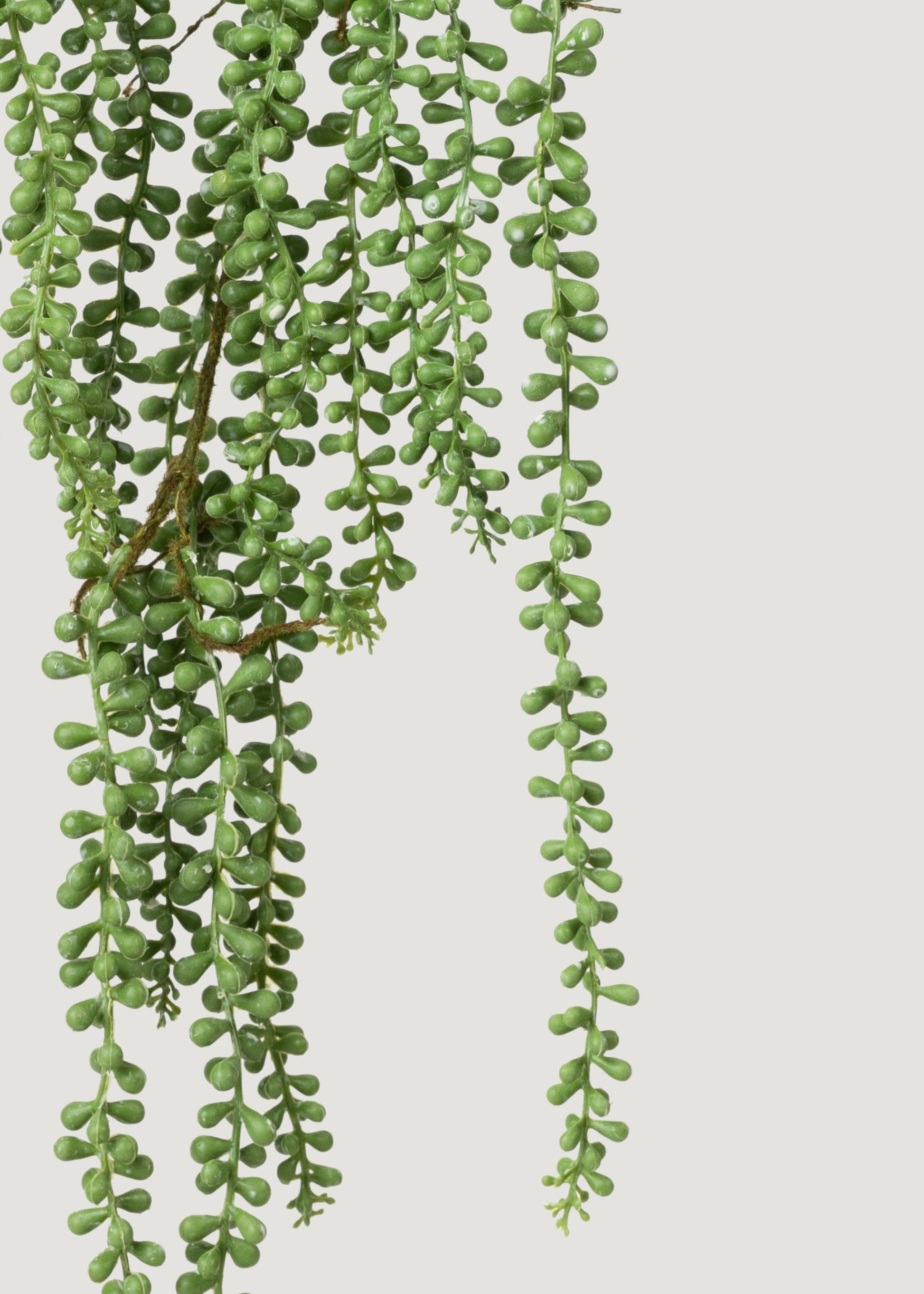 succulents string of pearls Artificial Hanging String of Pearls Succulent Plant