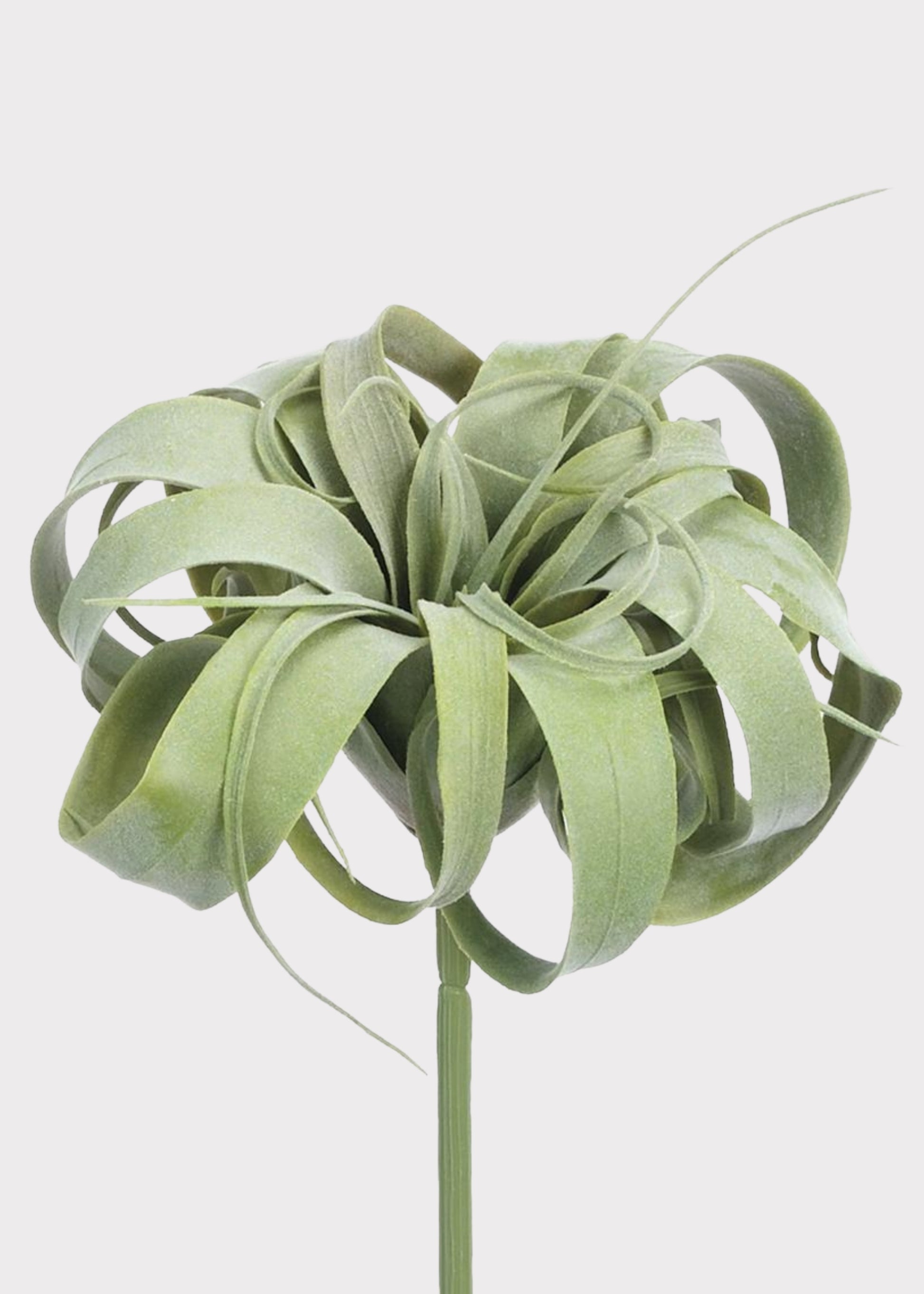 Artificial Tillandsia Succulent Pick