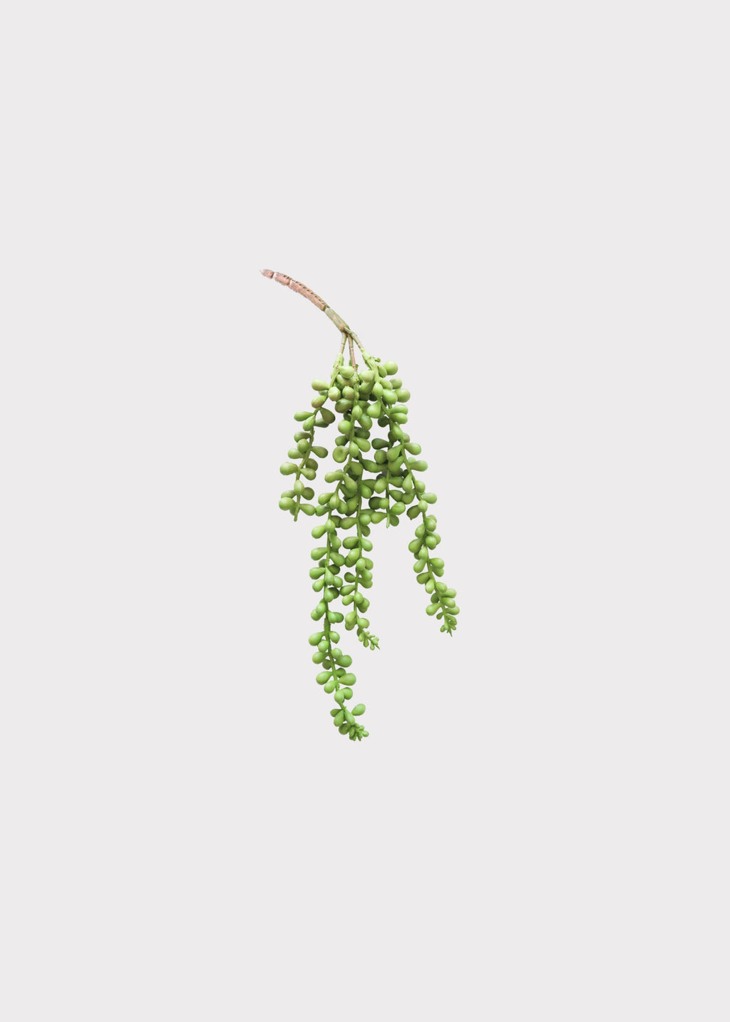 Artificial String of Pearls