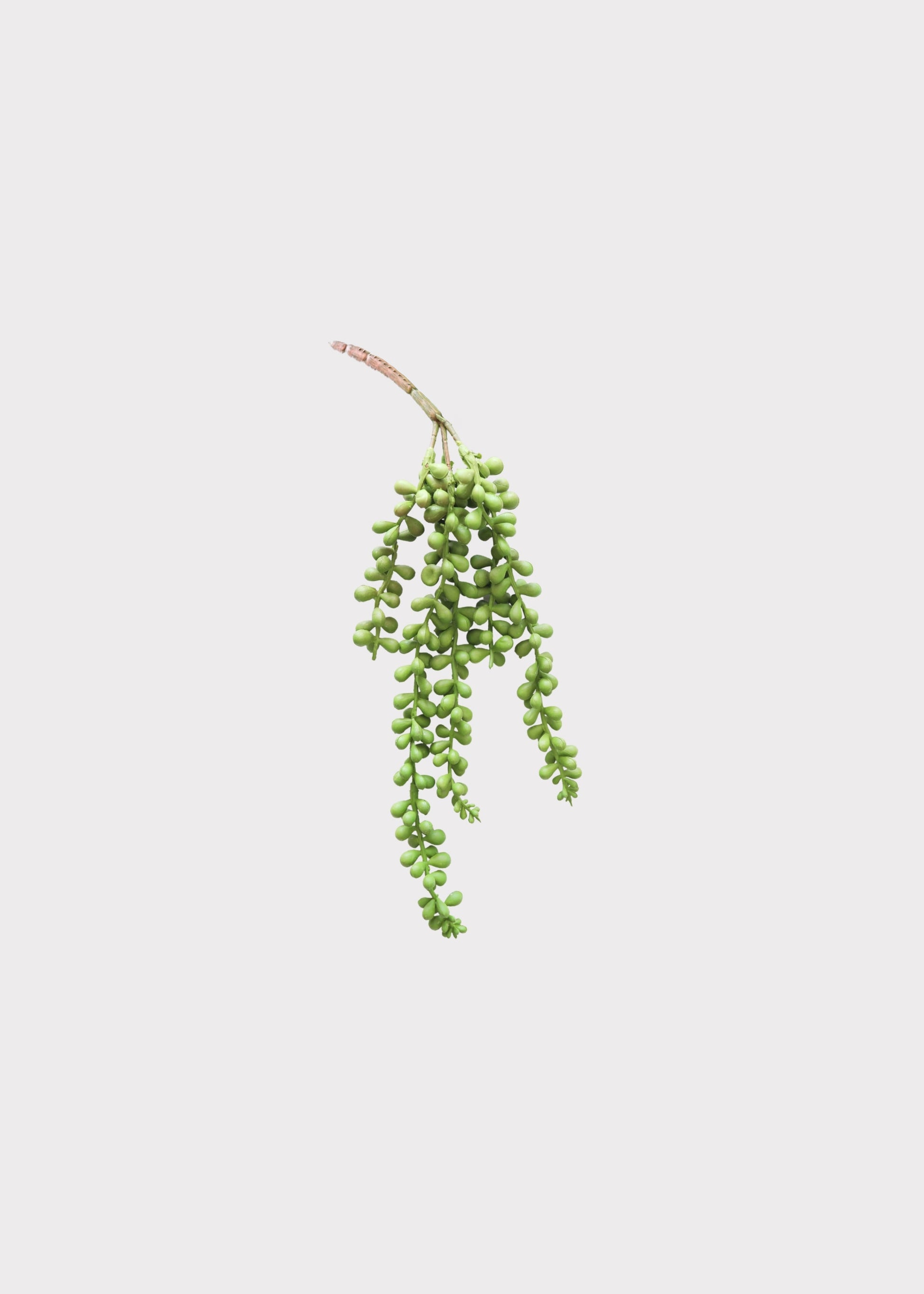 Artificial String of Pearls