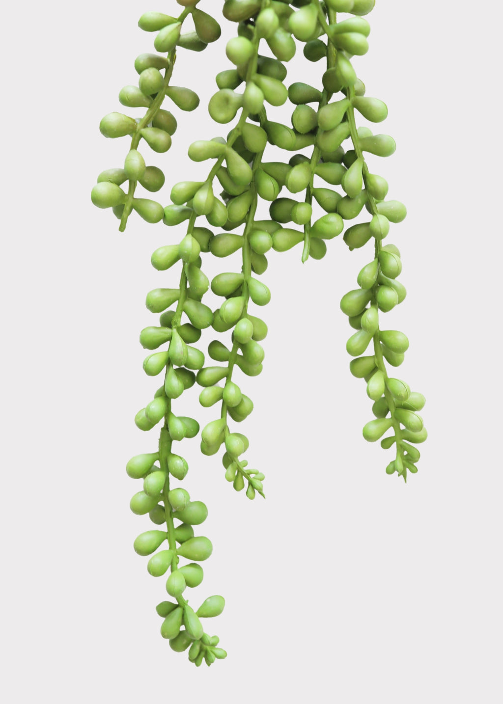 Faux String of Pearls
