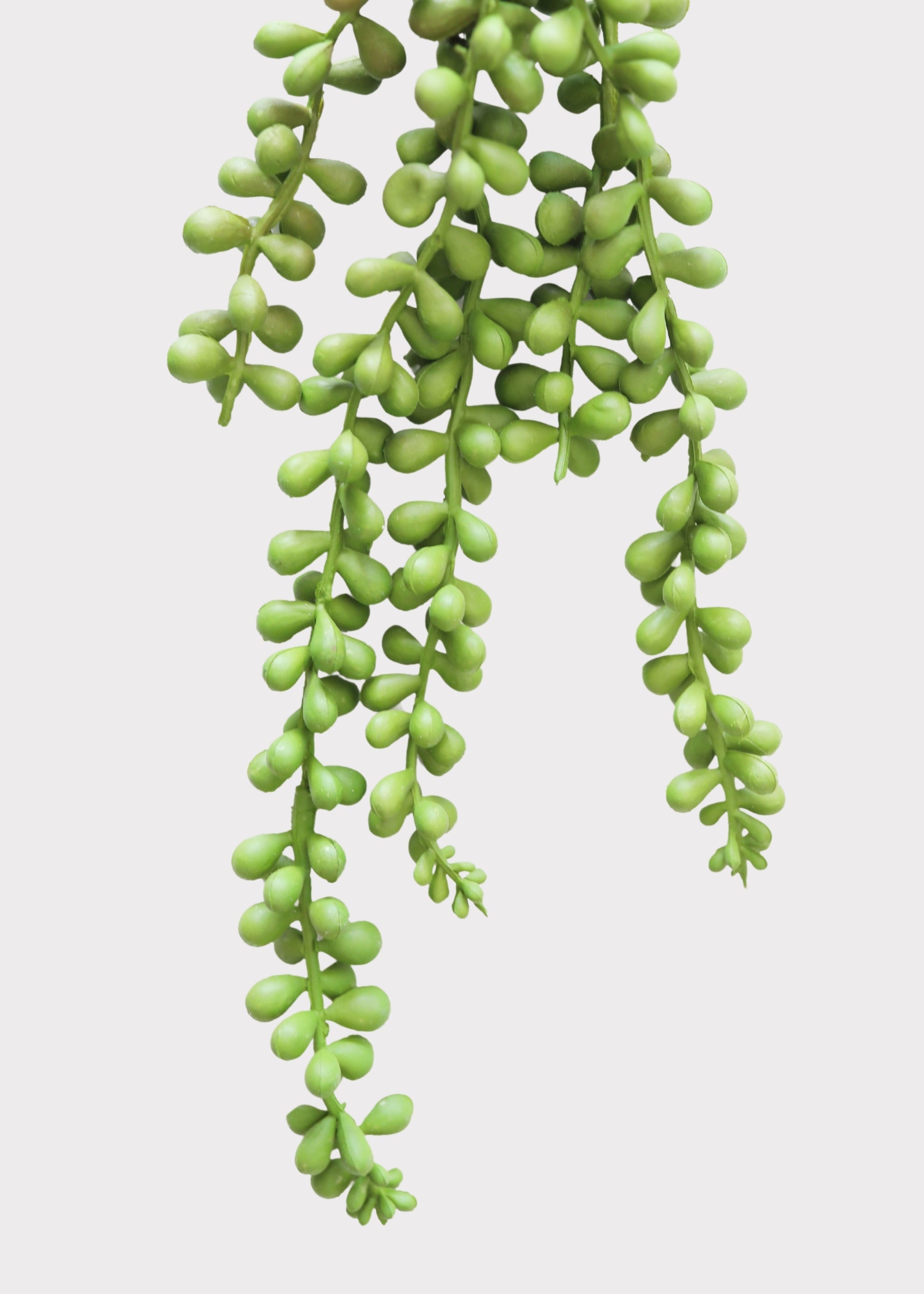 Faux String of Pearls