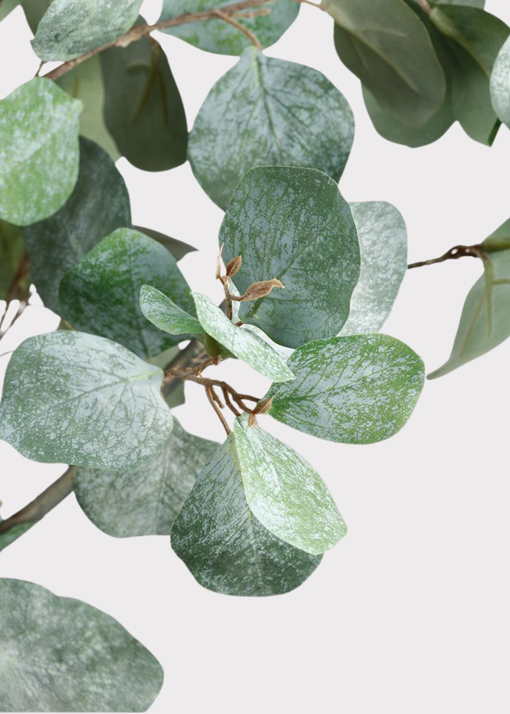 Artificial Eucalyptus