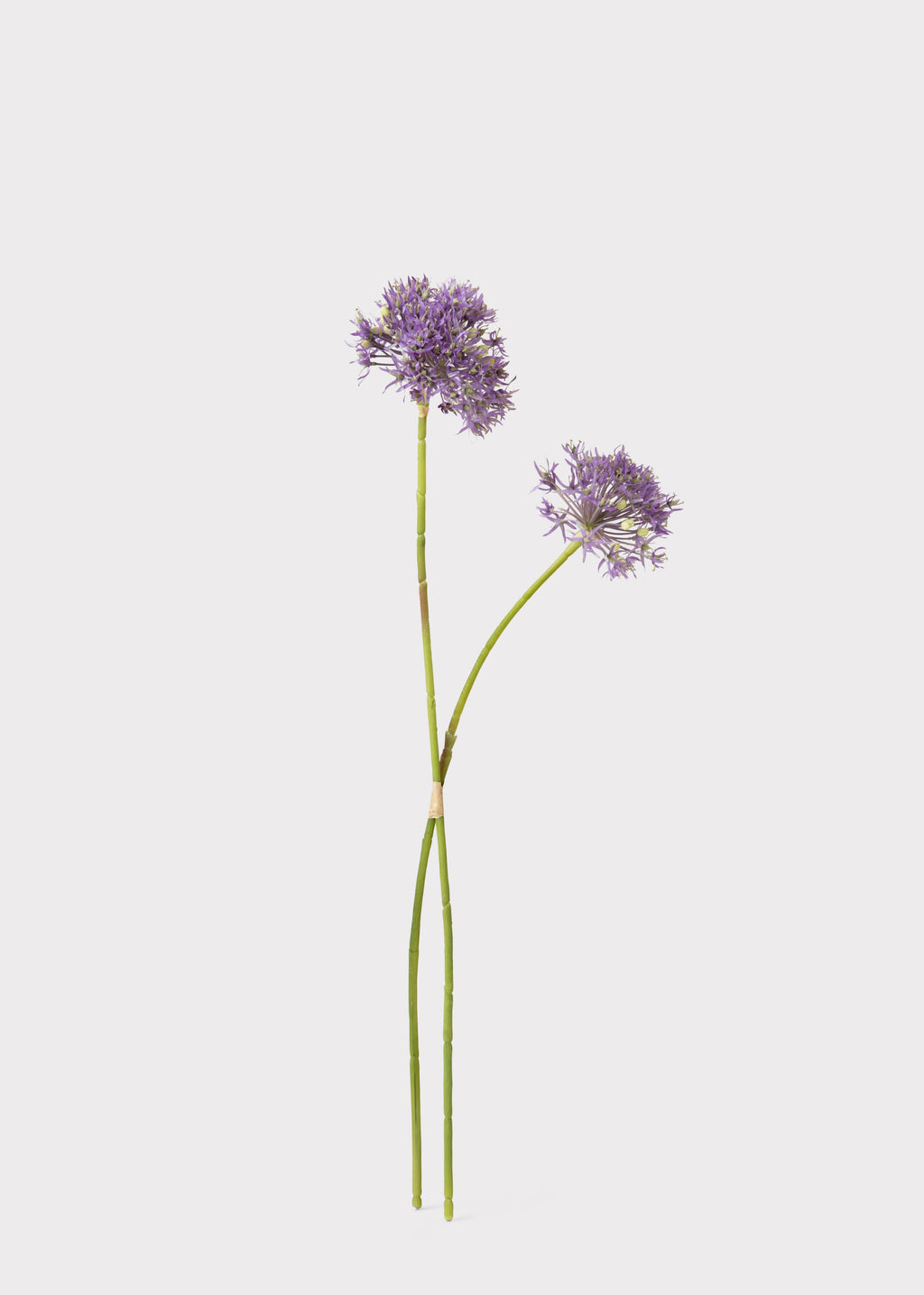 Artificial Allium Bundle