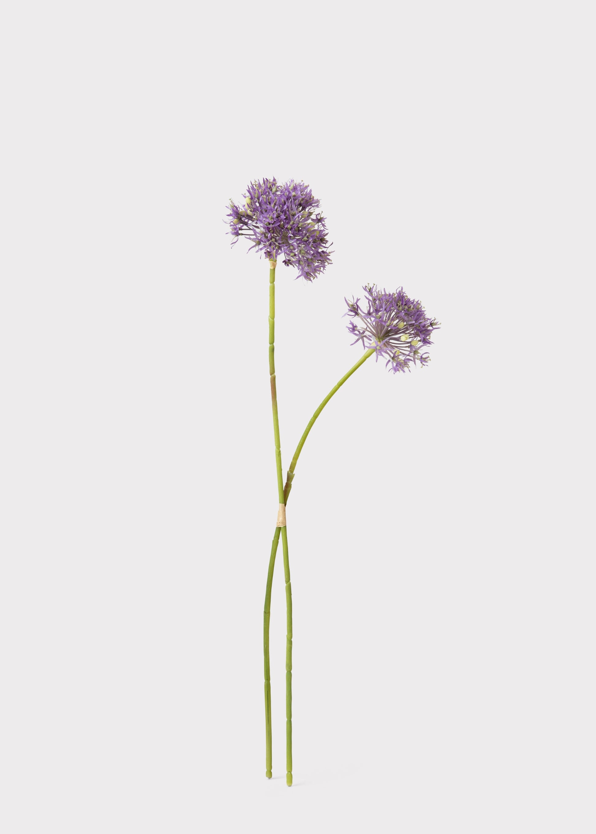 Artificial Allium Bundle