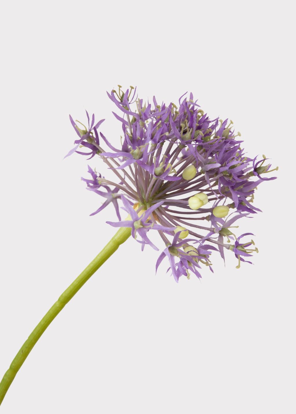 Faux Allium 
