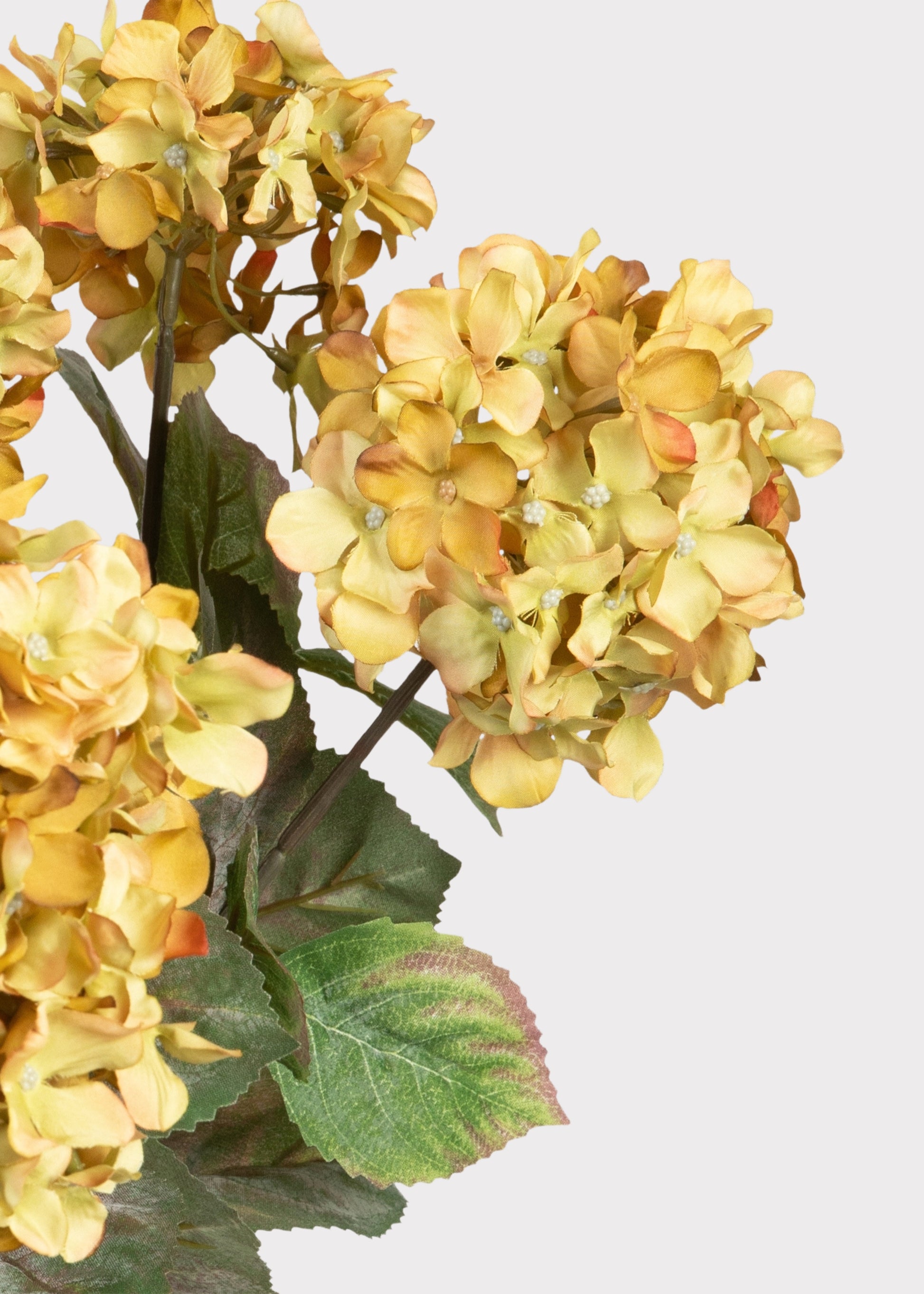 Faux Hydrangeas in Antique Green