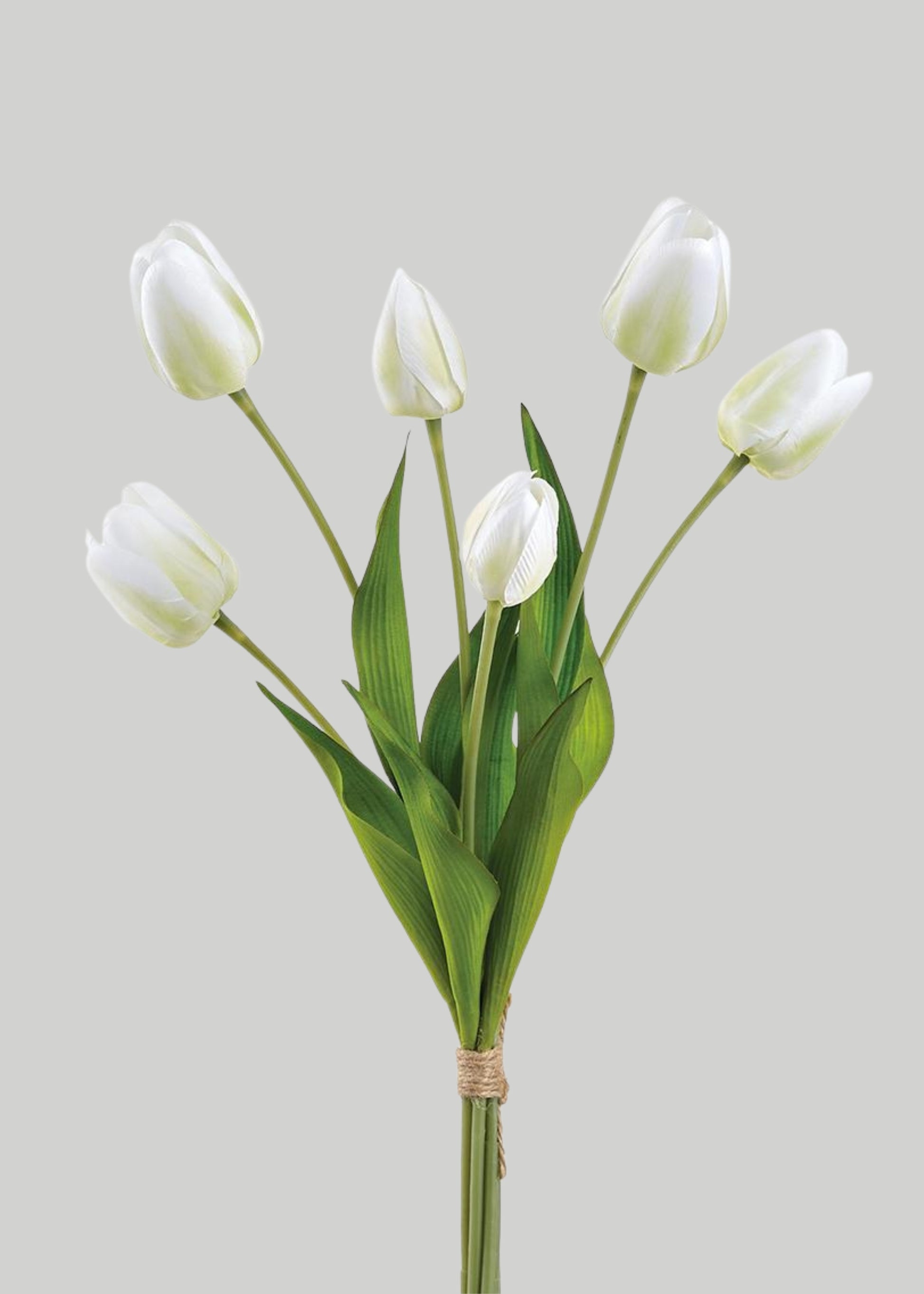 Bouquet of white tulips 