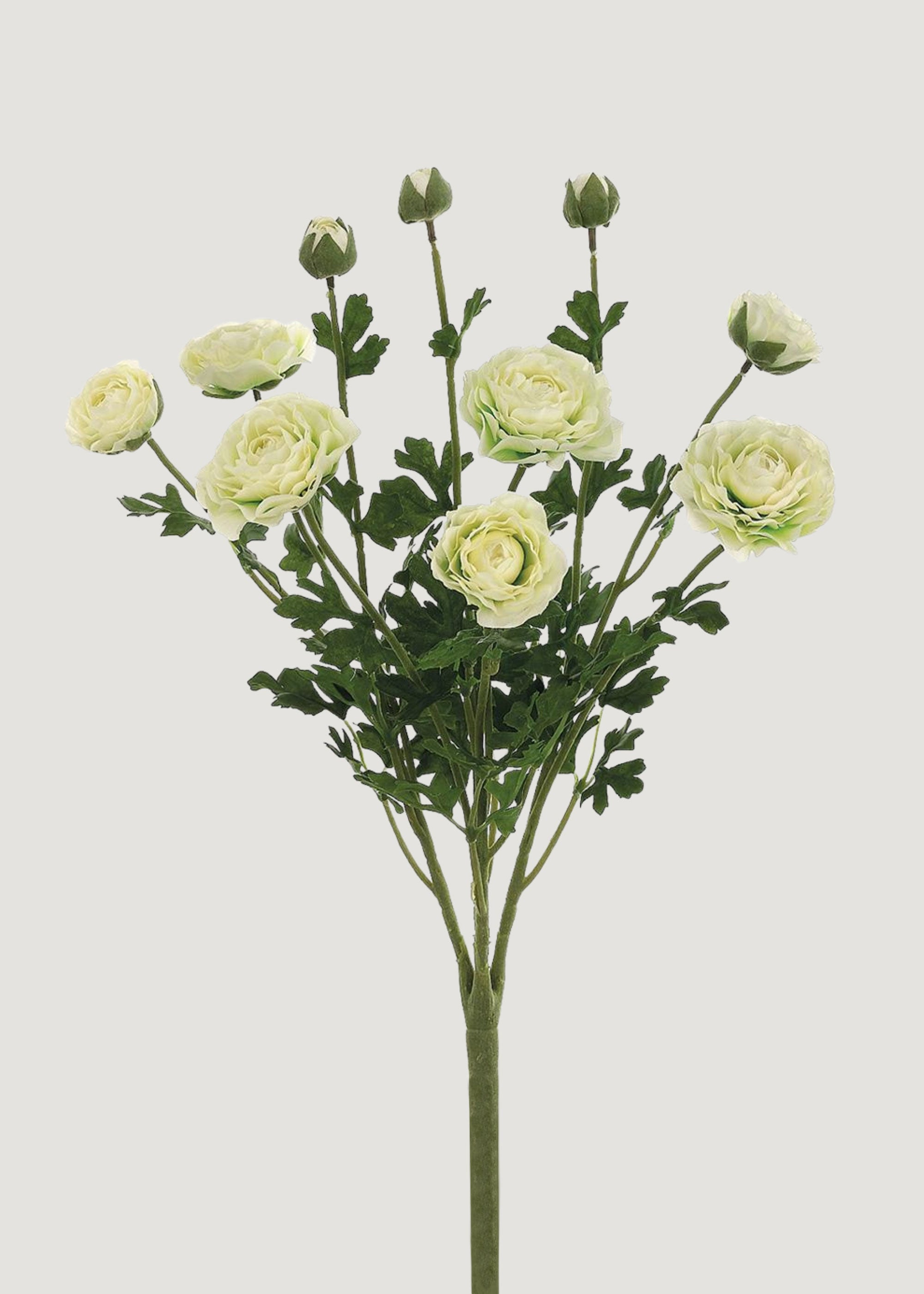Faux Ranunculus Flower Bush in Cream 