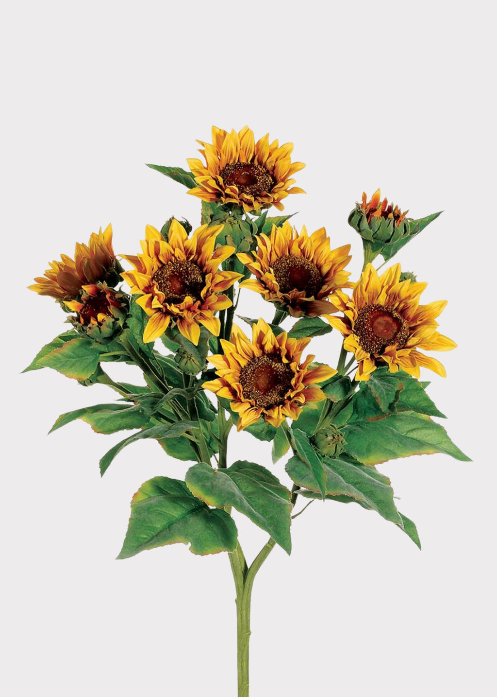 Yellow Fake Sunflower Bush