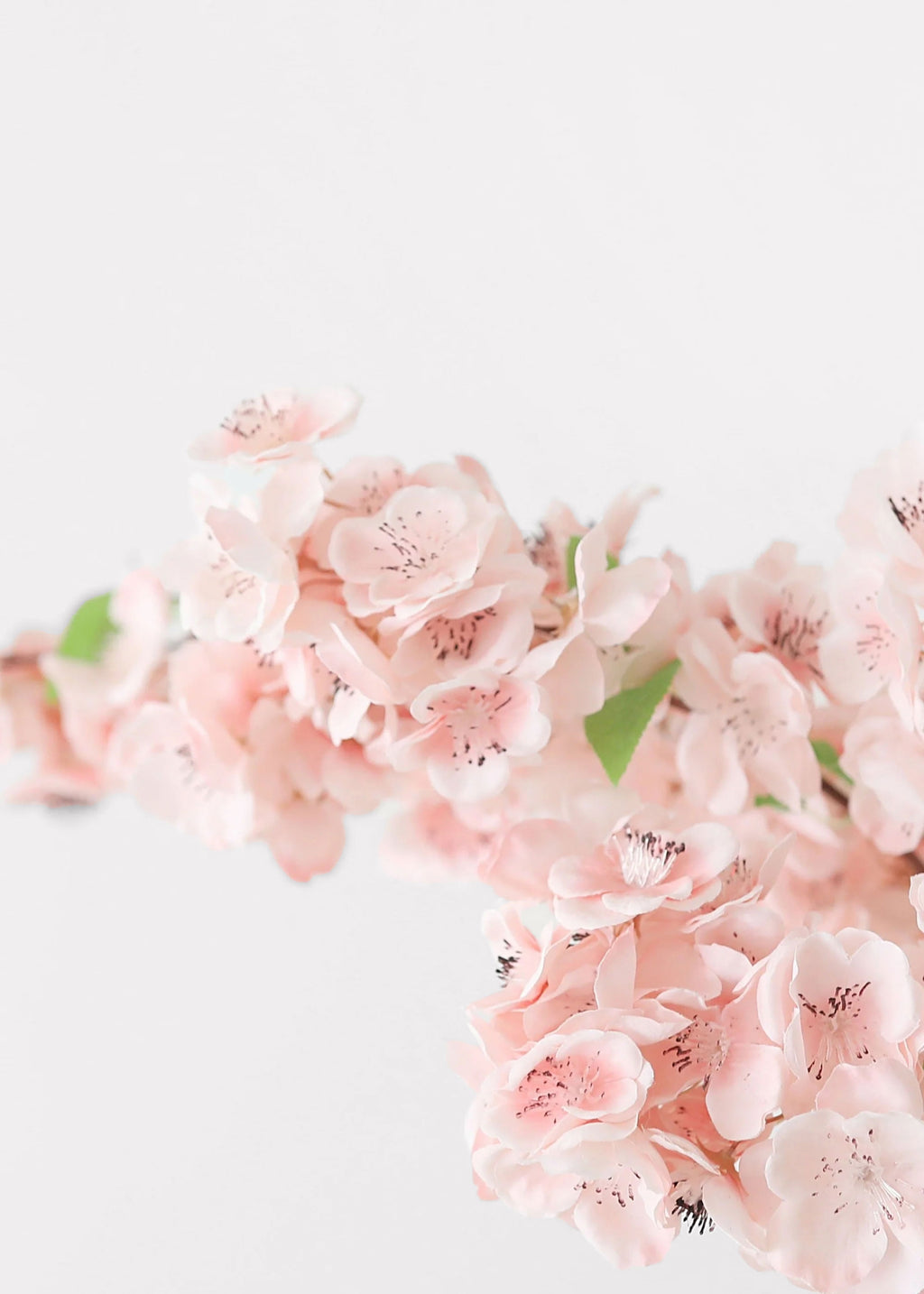 close-up of premium faux cherry blossoms in pink
