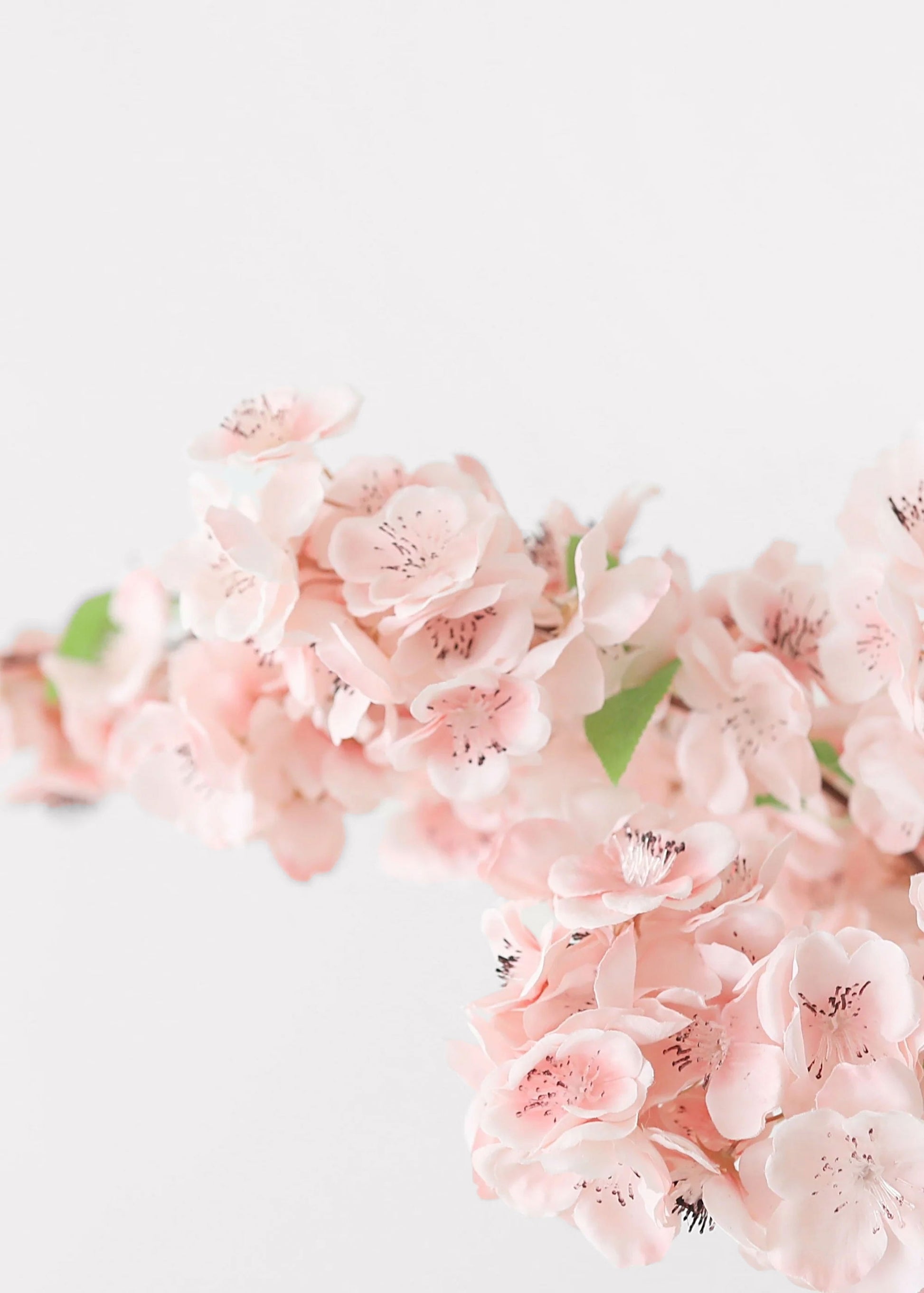 close-up of premium faux cherry blossoms in pink