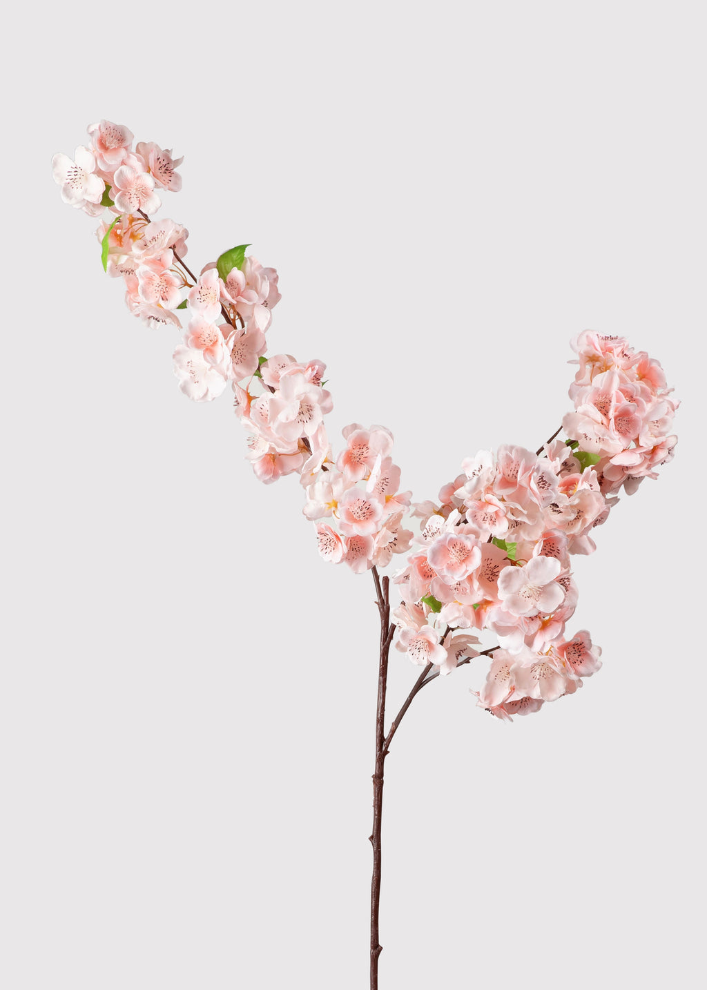 pink artificial cherry blossom