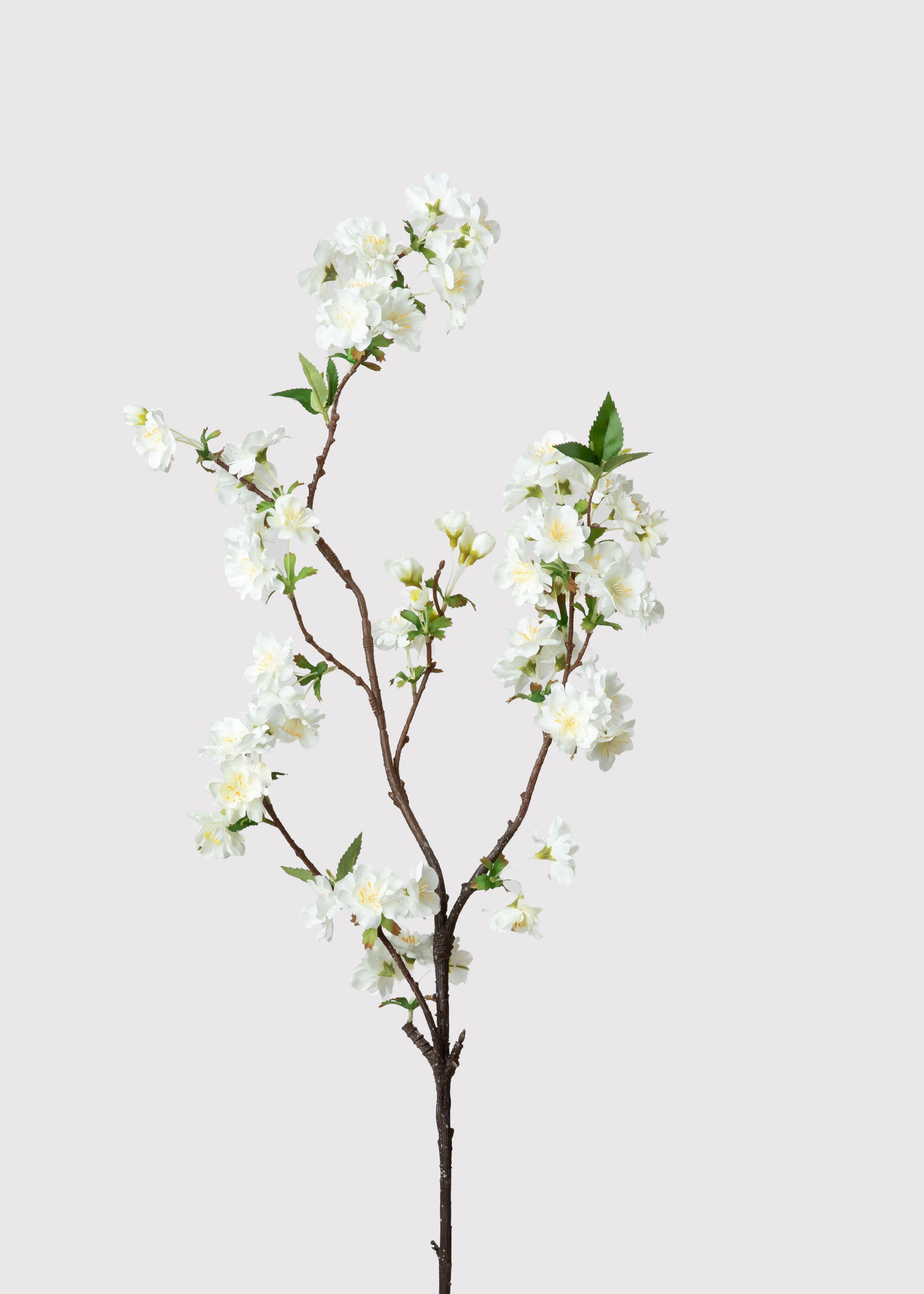 Cherry Blossom in Cream White | Artificial Spring Flowers | Afloral
