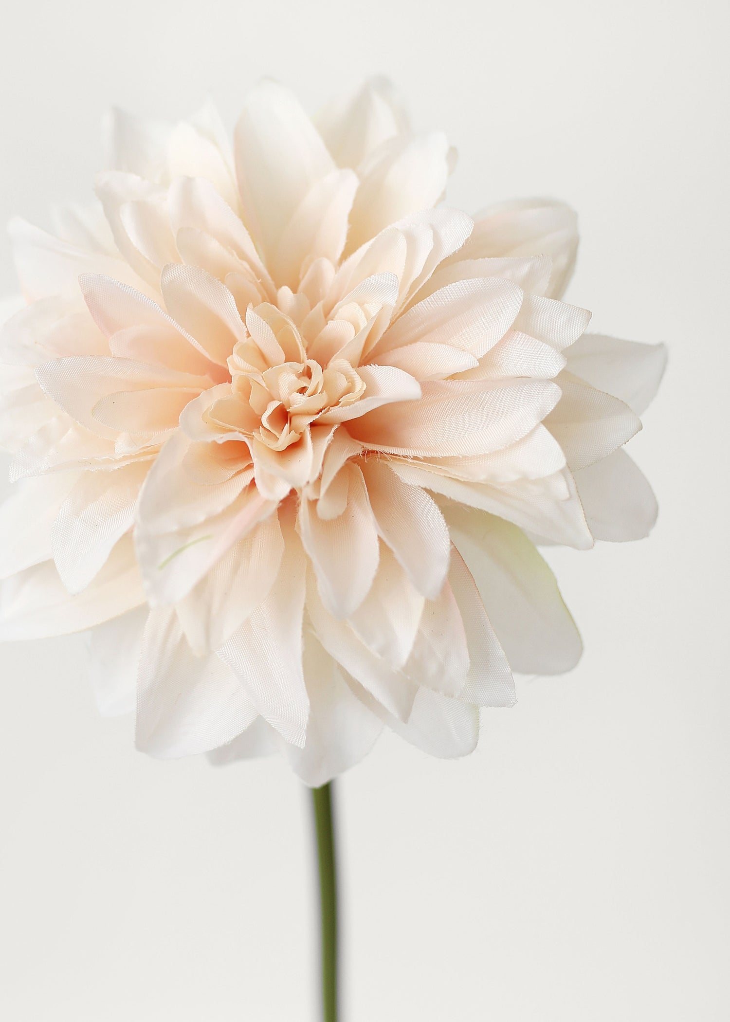 Close-up of Blush Peach Dahlia Silk Flower