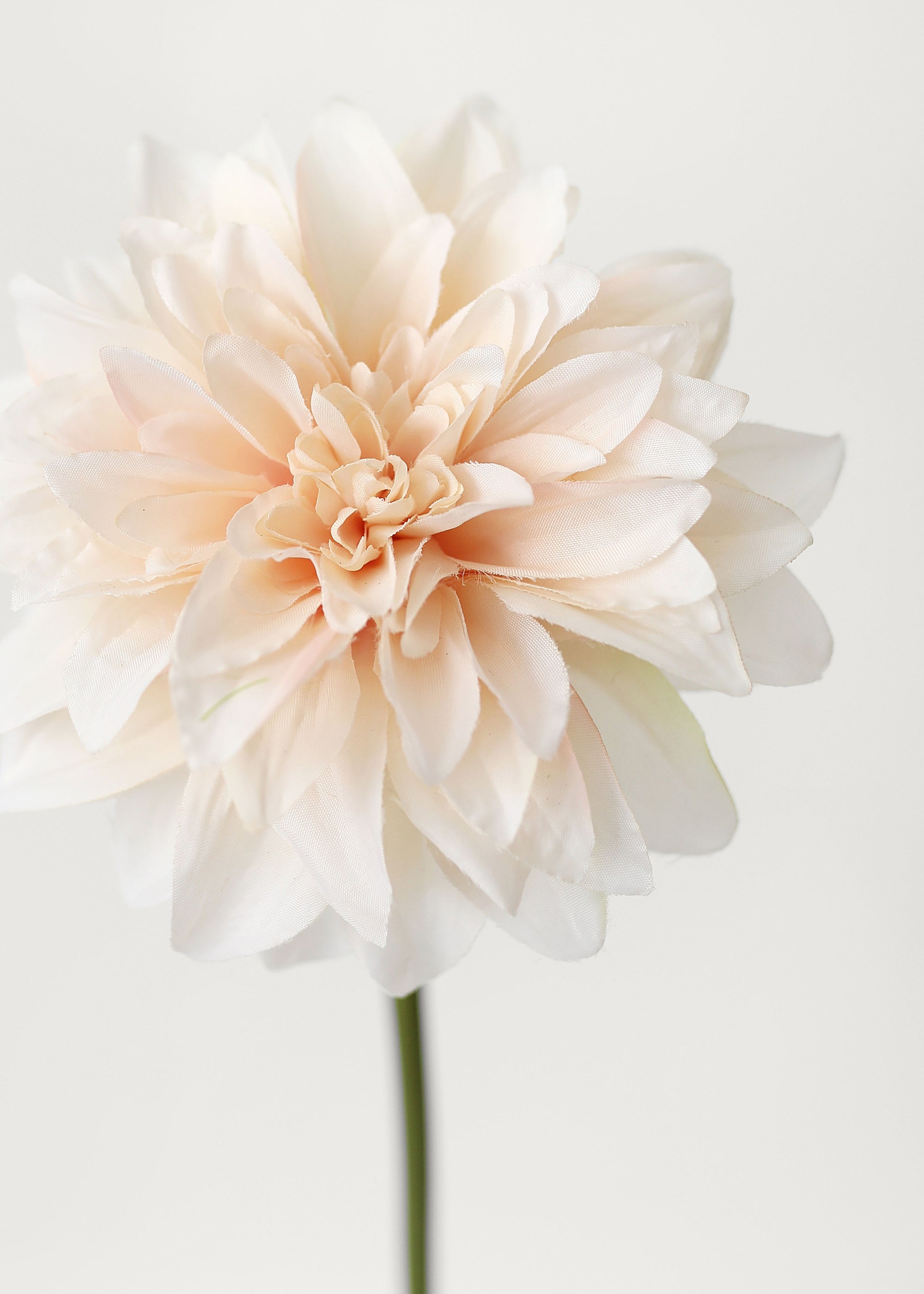 Close-up of Blush Peach Dahlia Silk Flower