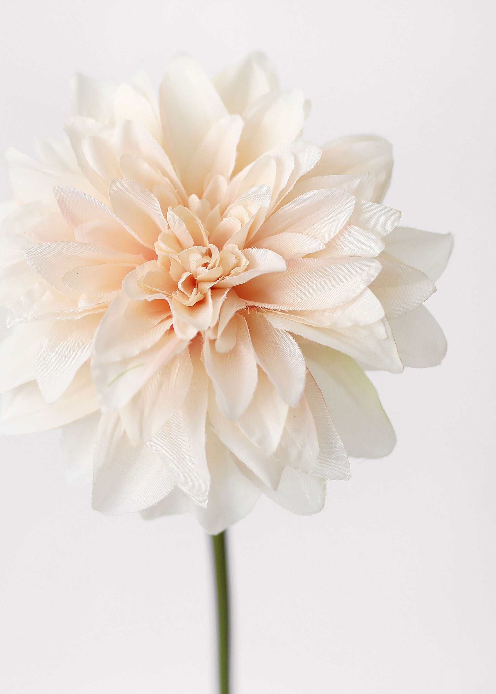 Close-up of Blush Peach Dahlia Silk Flower