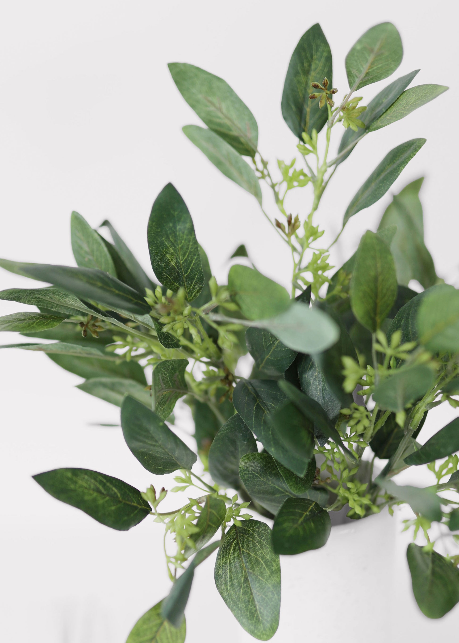 Fake Seeded Eucalyptus 