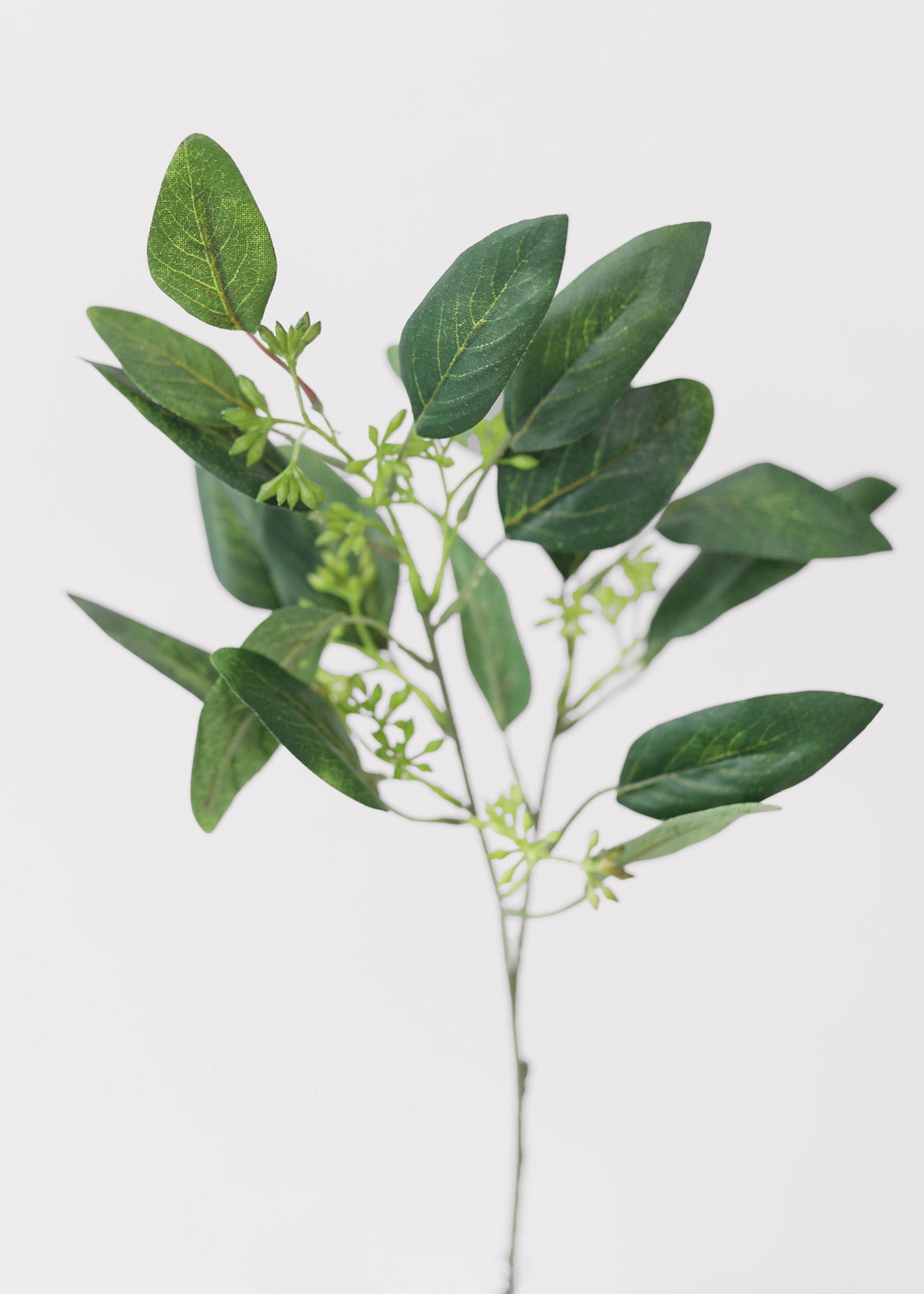Artificial Seeded Eucalyptus Stem