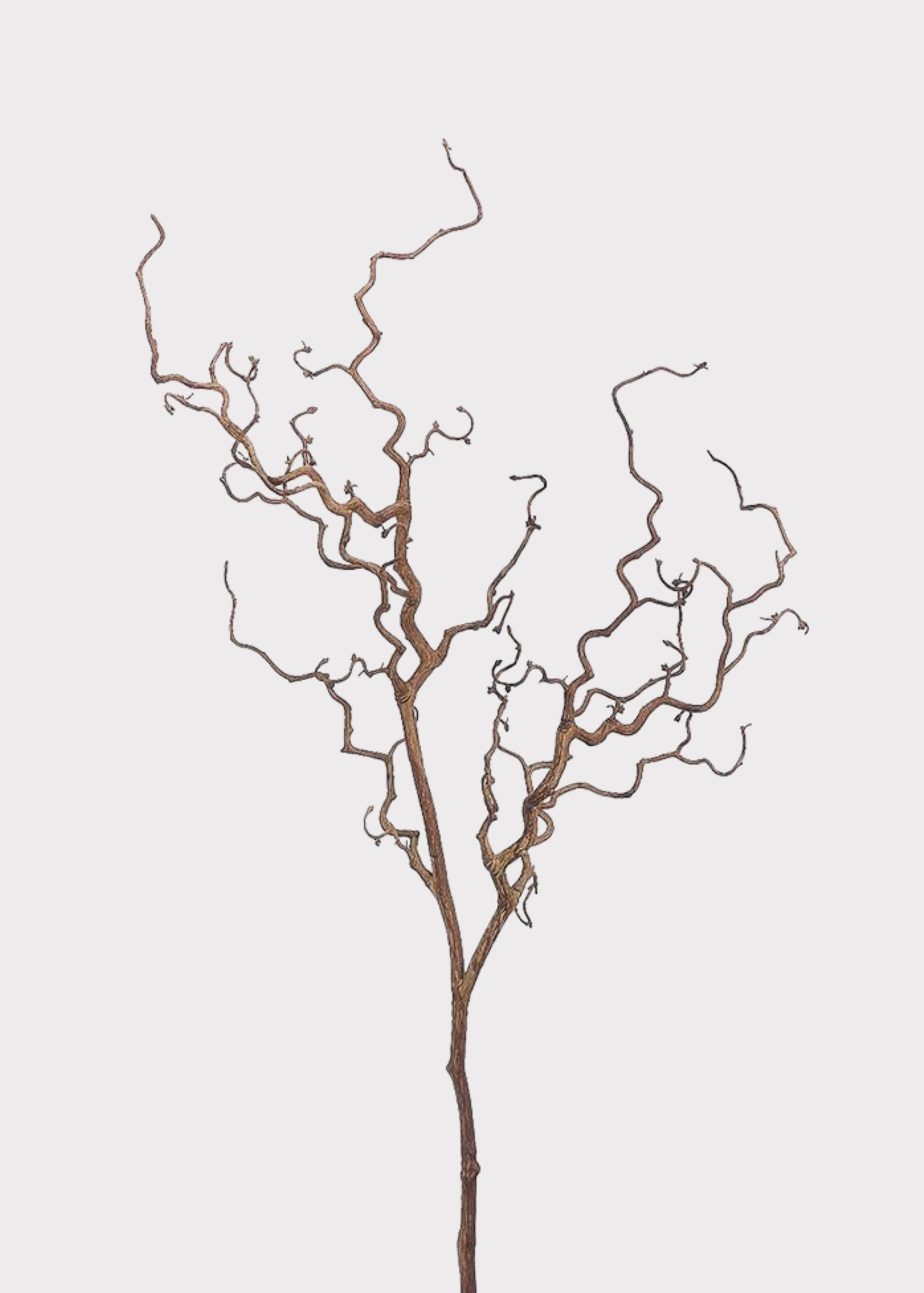 Dried Look Artificial Tall Branch